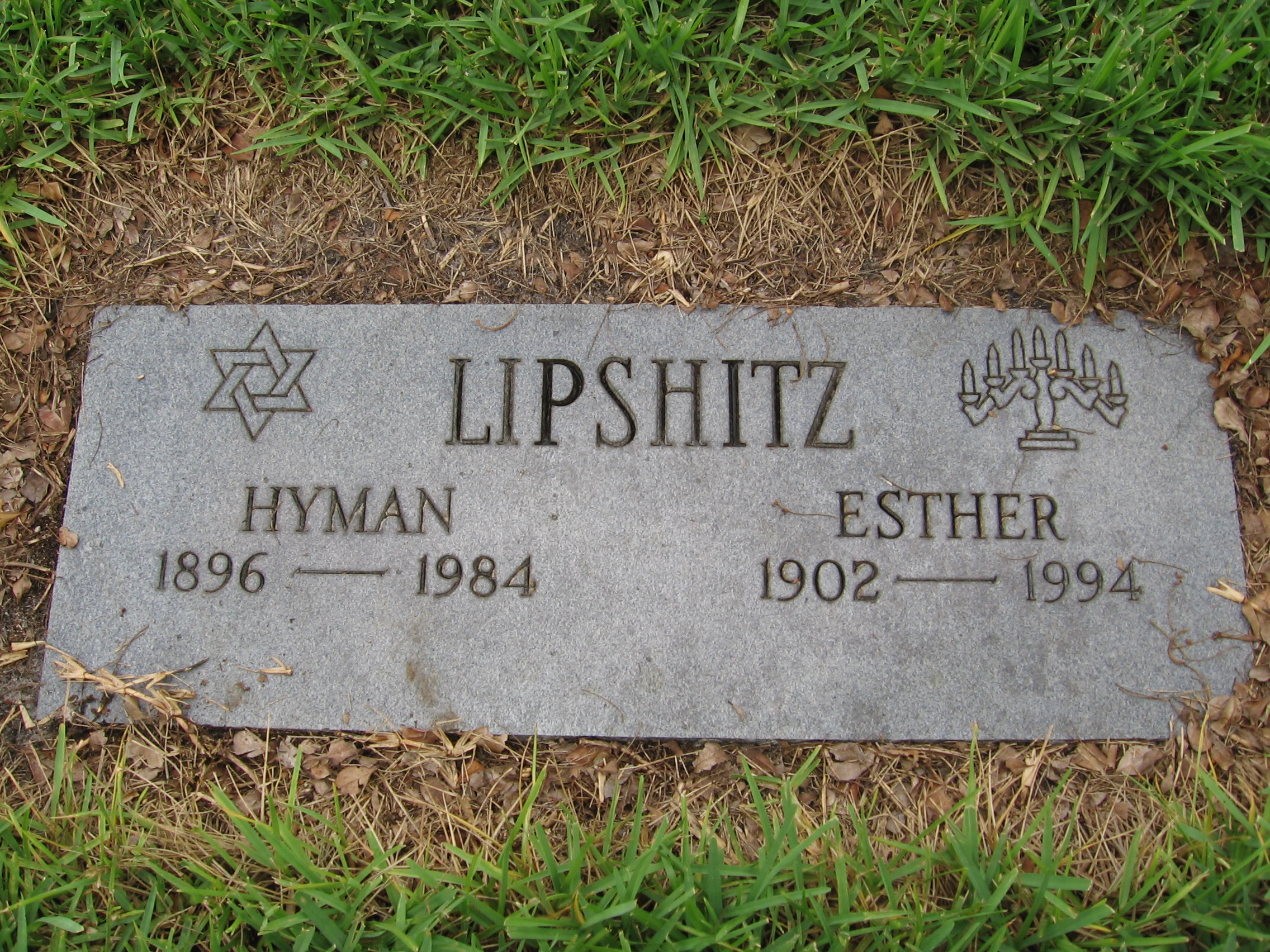 Hyman Lipshitz
