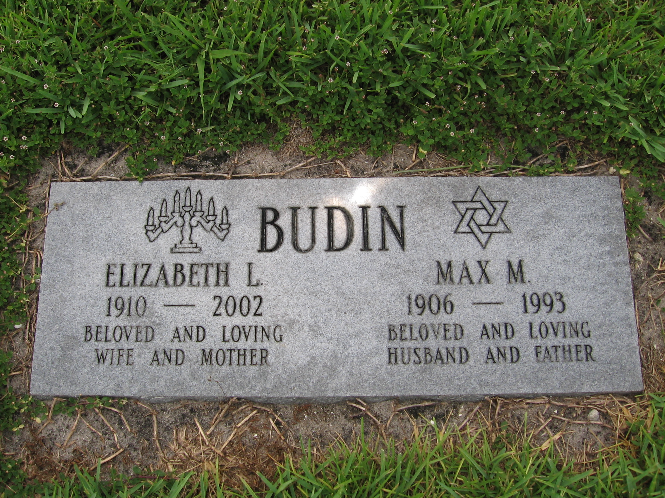 Elizabeth L Budin