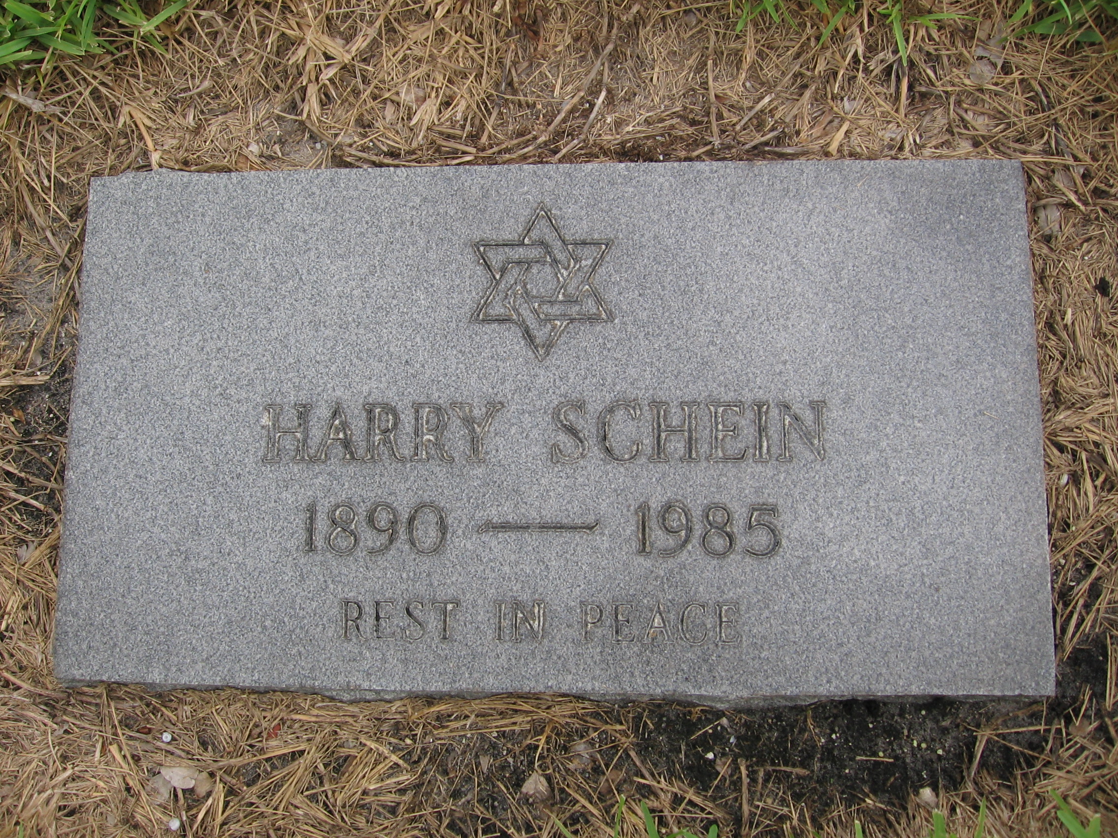 Harry Schein