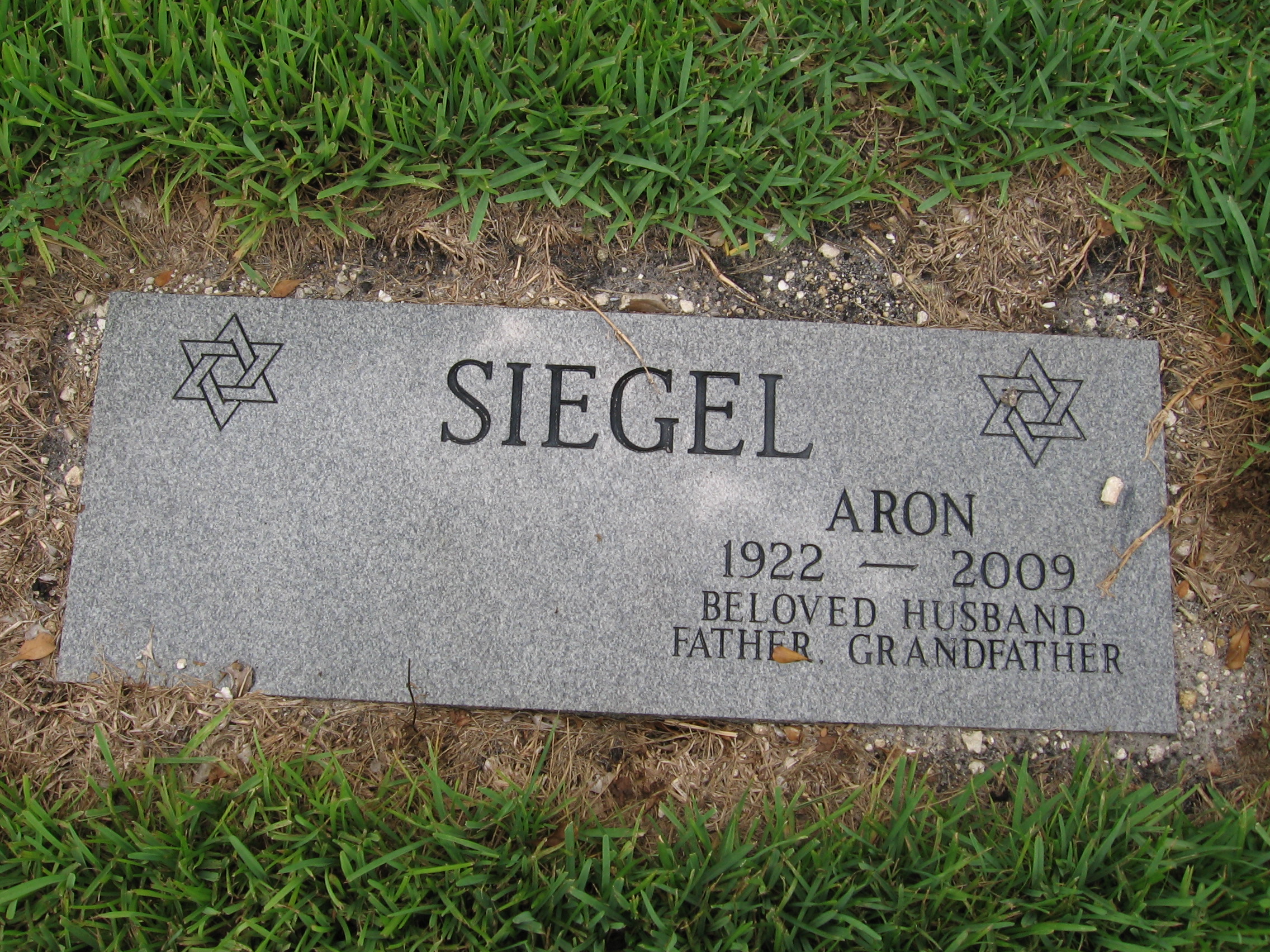 Aron Siegel