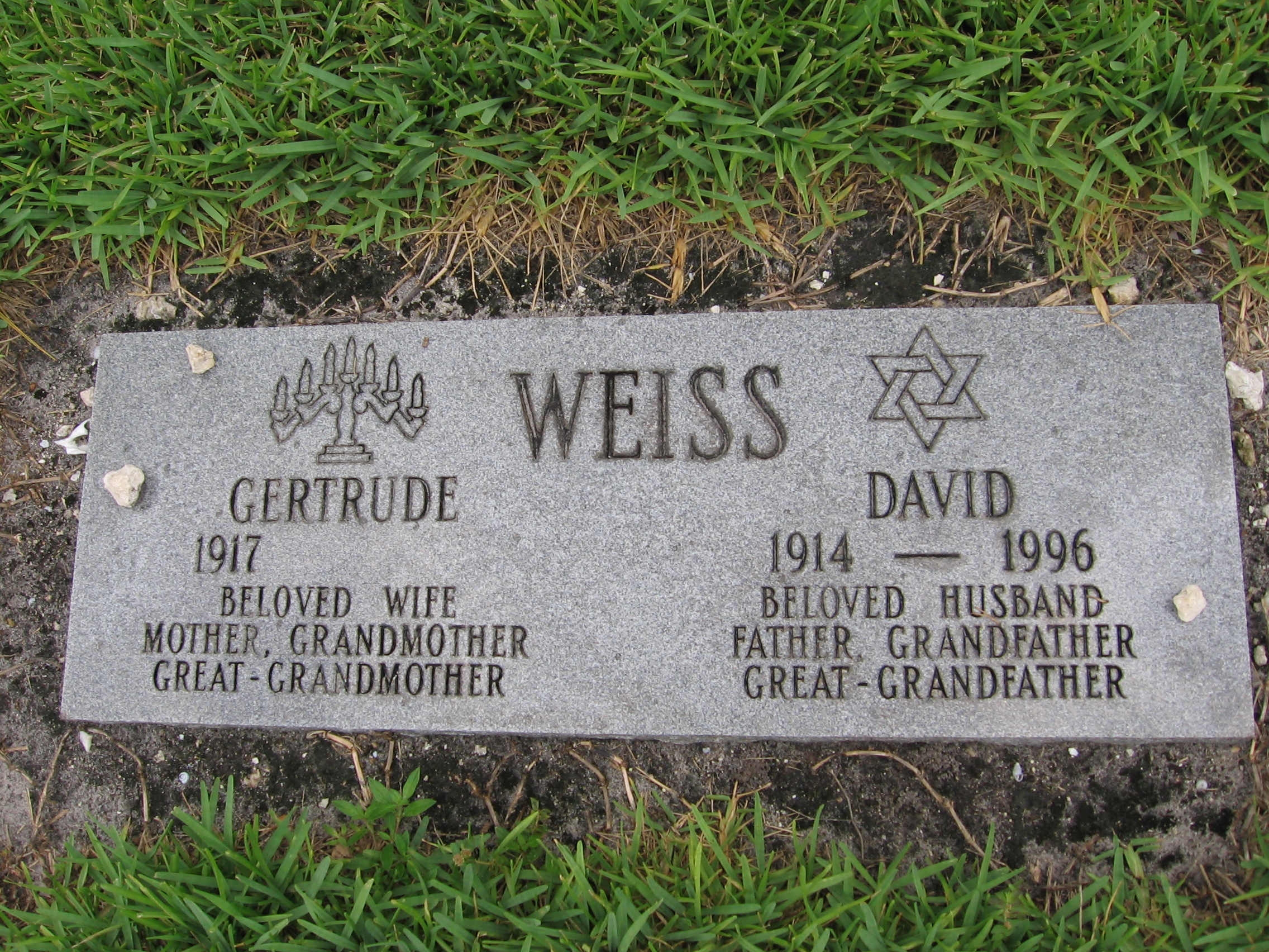David Weiss