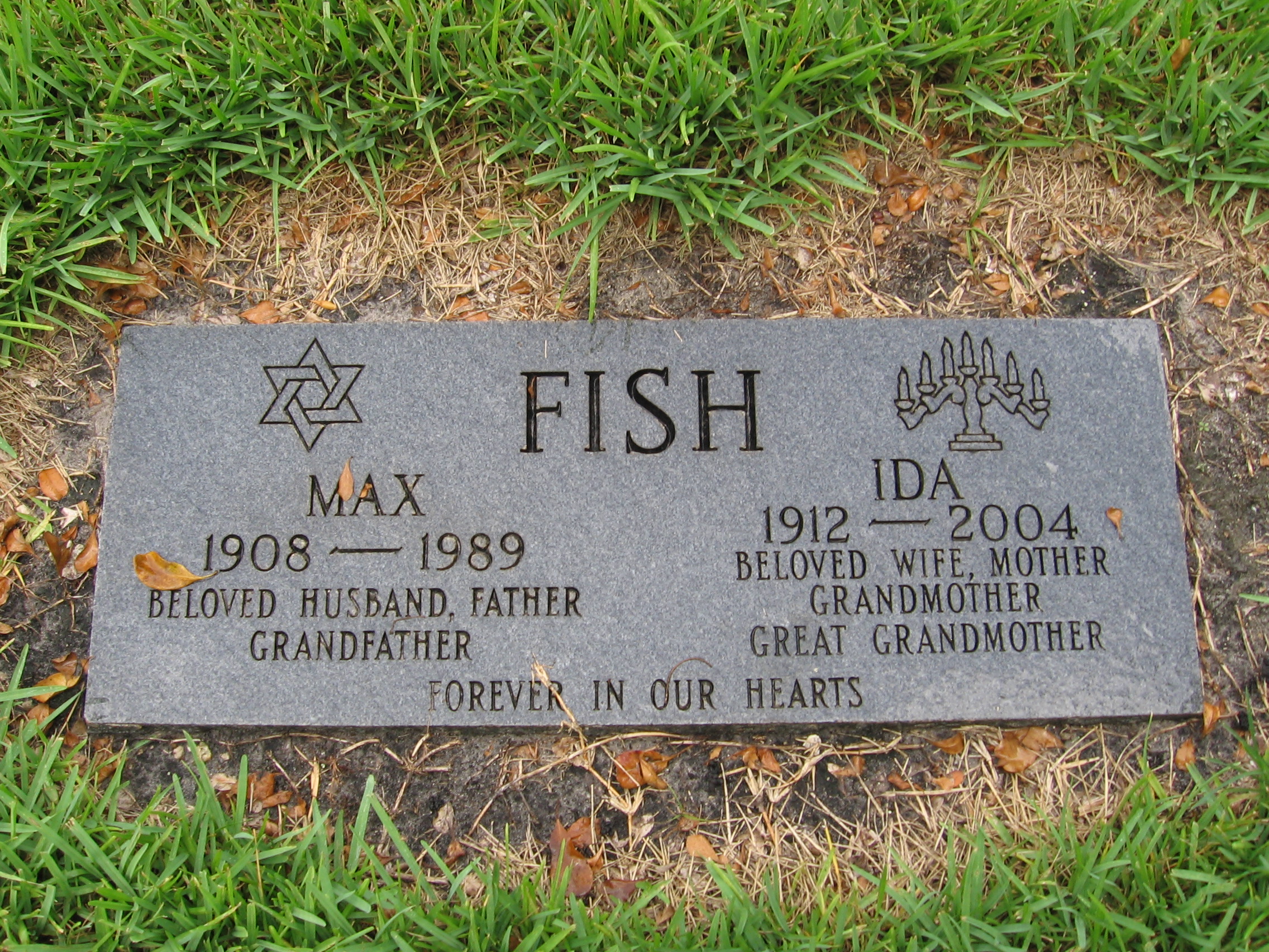 Max Fish