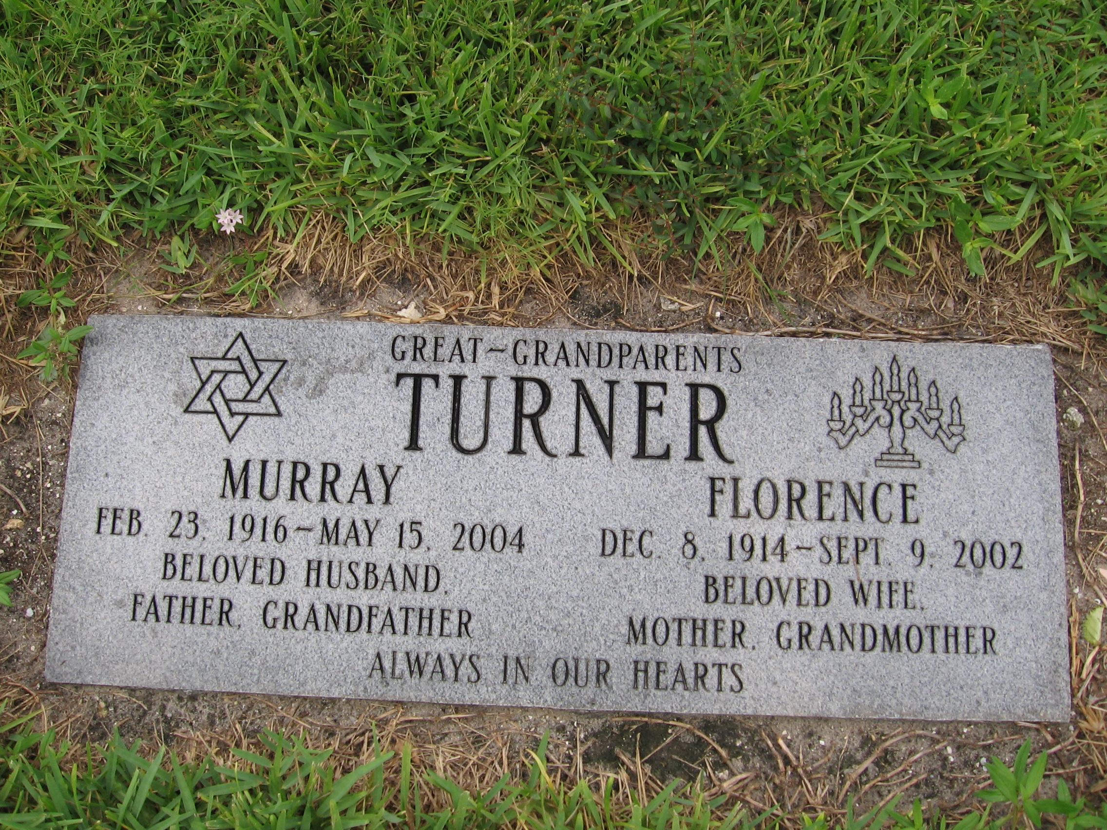 Murray Turner