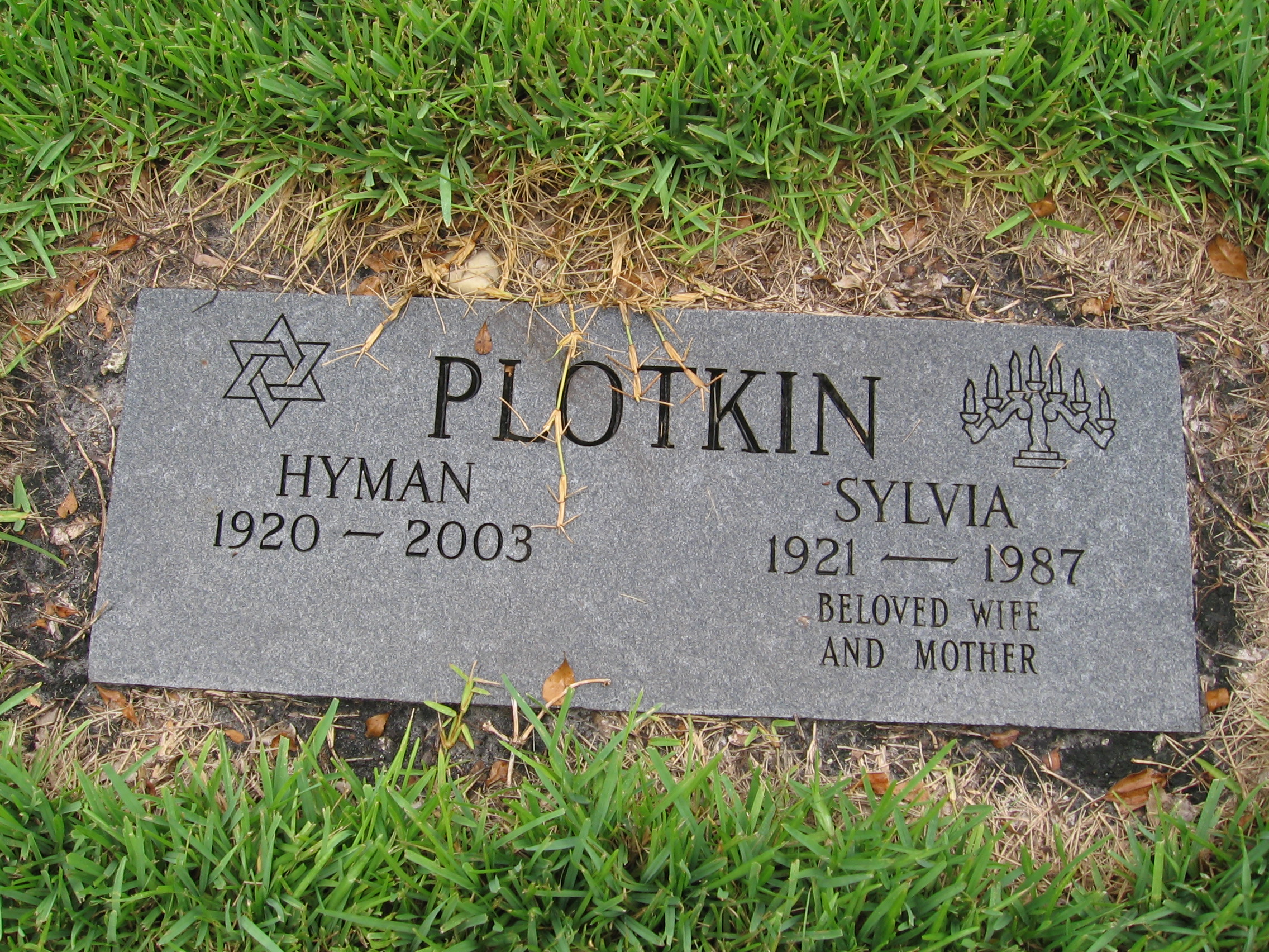 Sylvia Plotkin