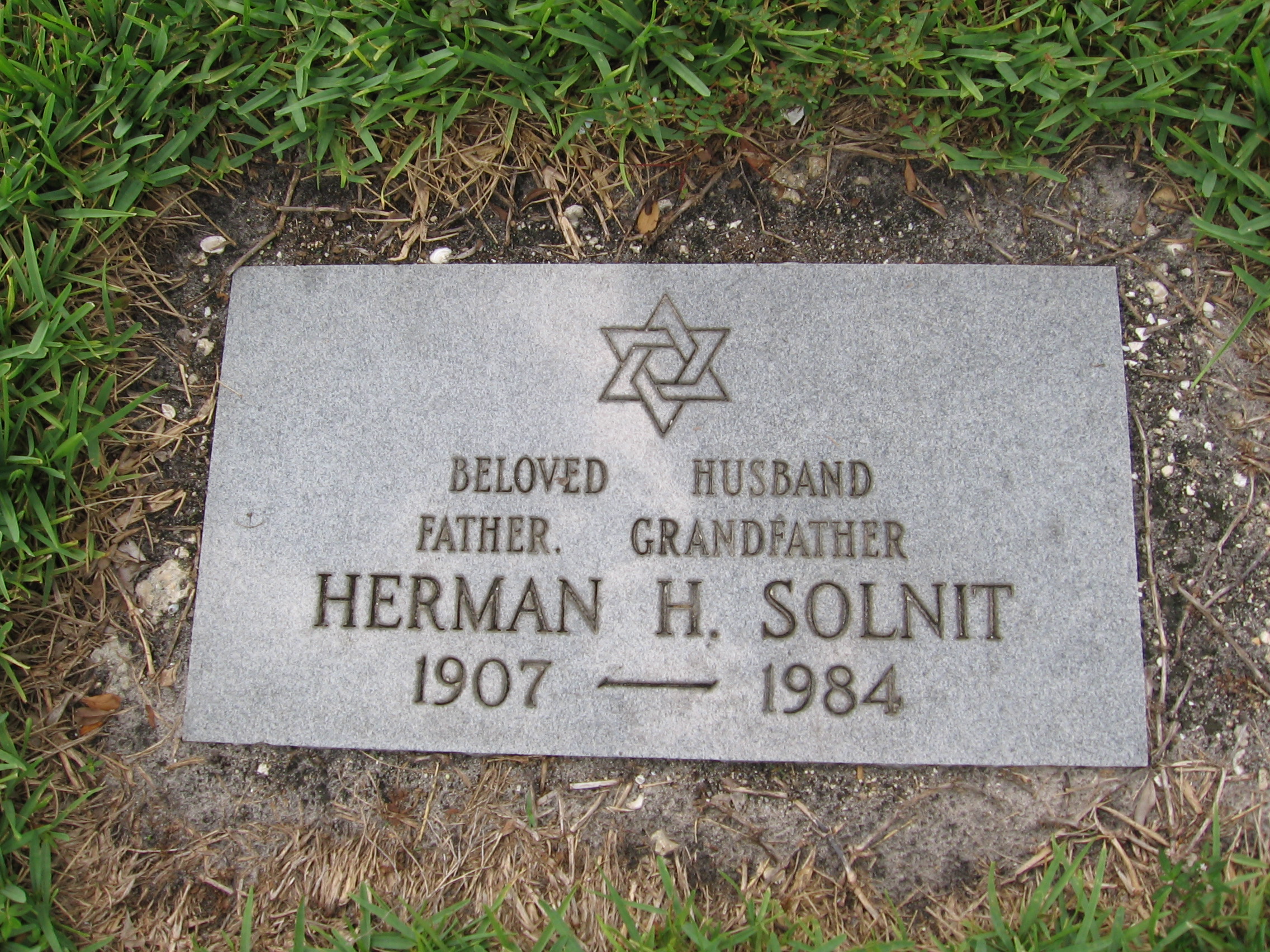 Herman H Solnit