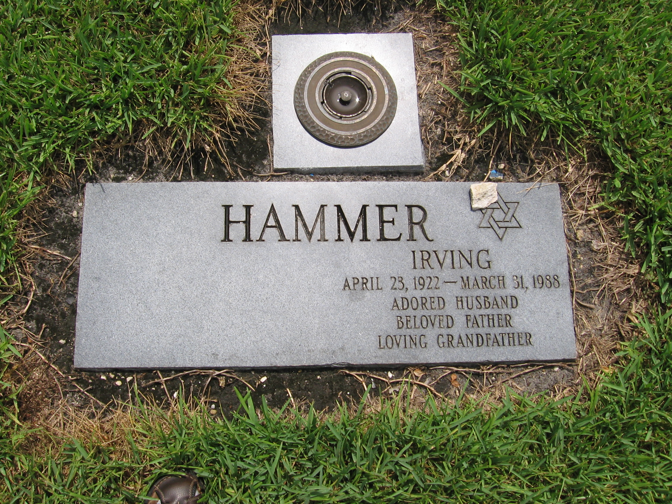 Irving Hammer