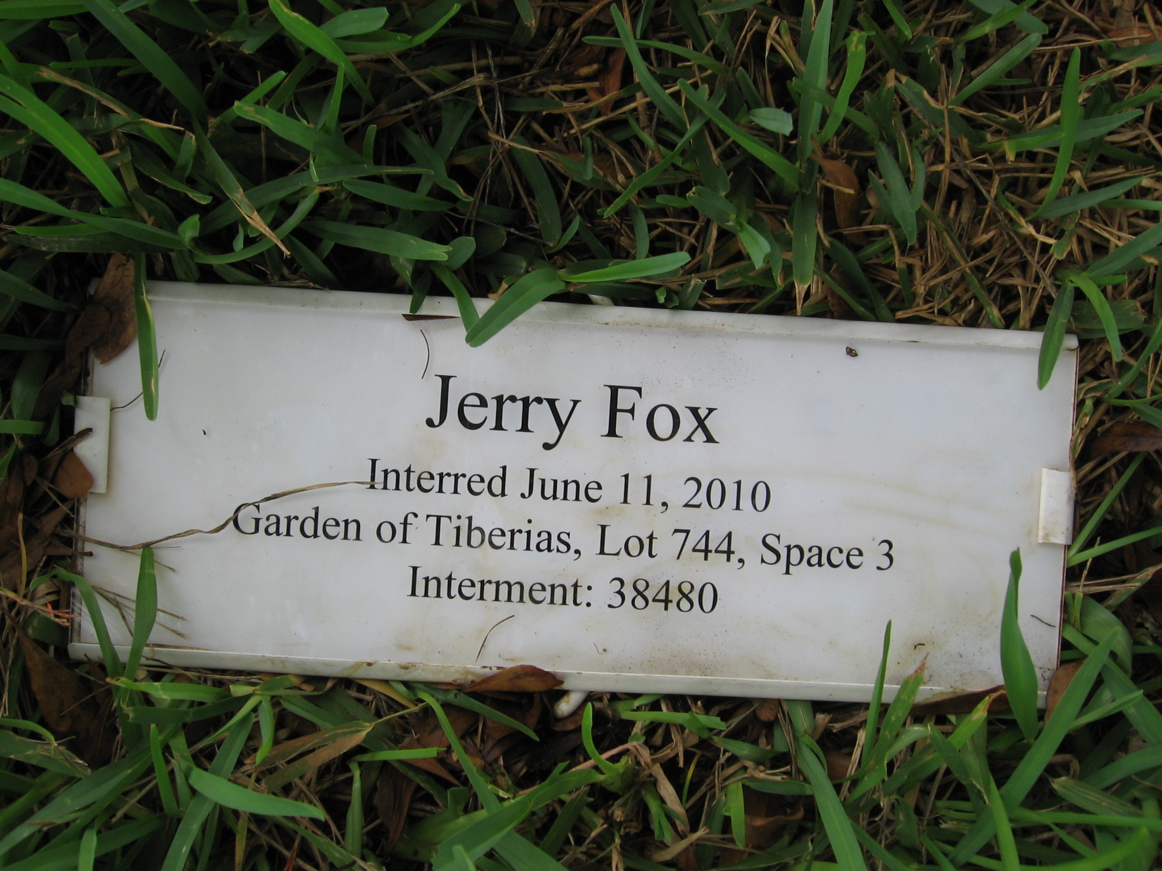 Jerry Fox