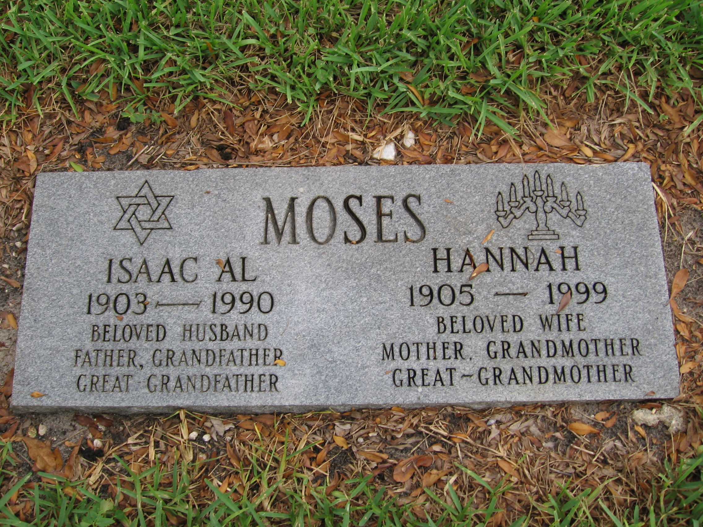 Hannah Moses
