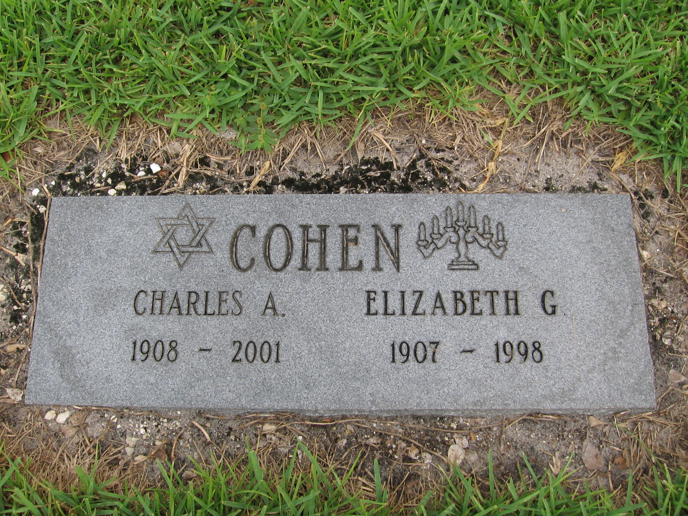 Elizabeth G Cohen