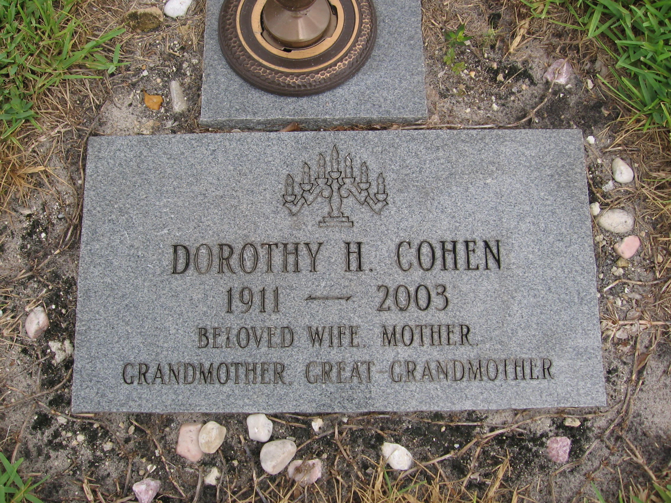 Dorothy H Cohen