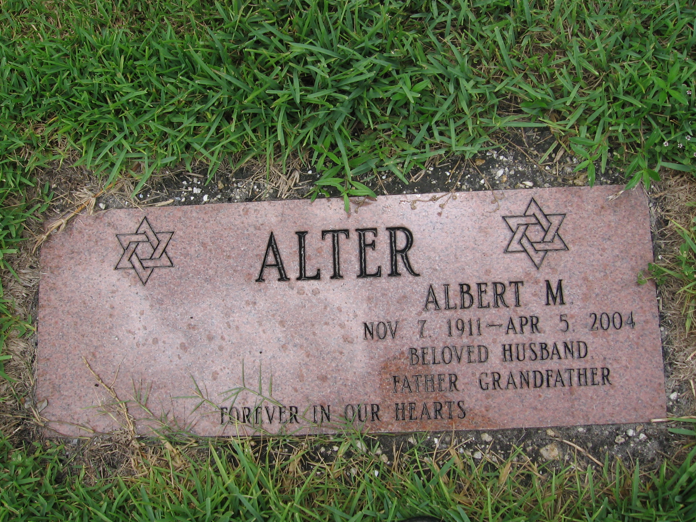 Albert M Alter