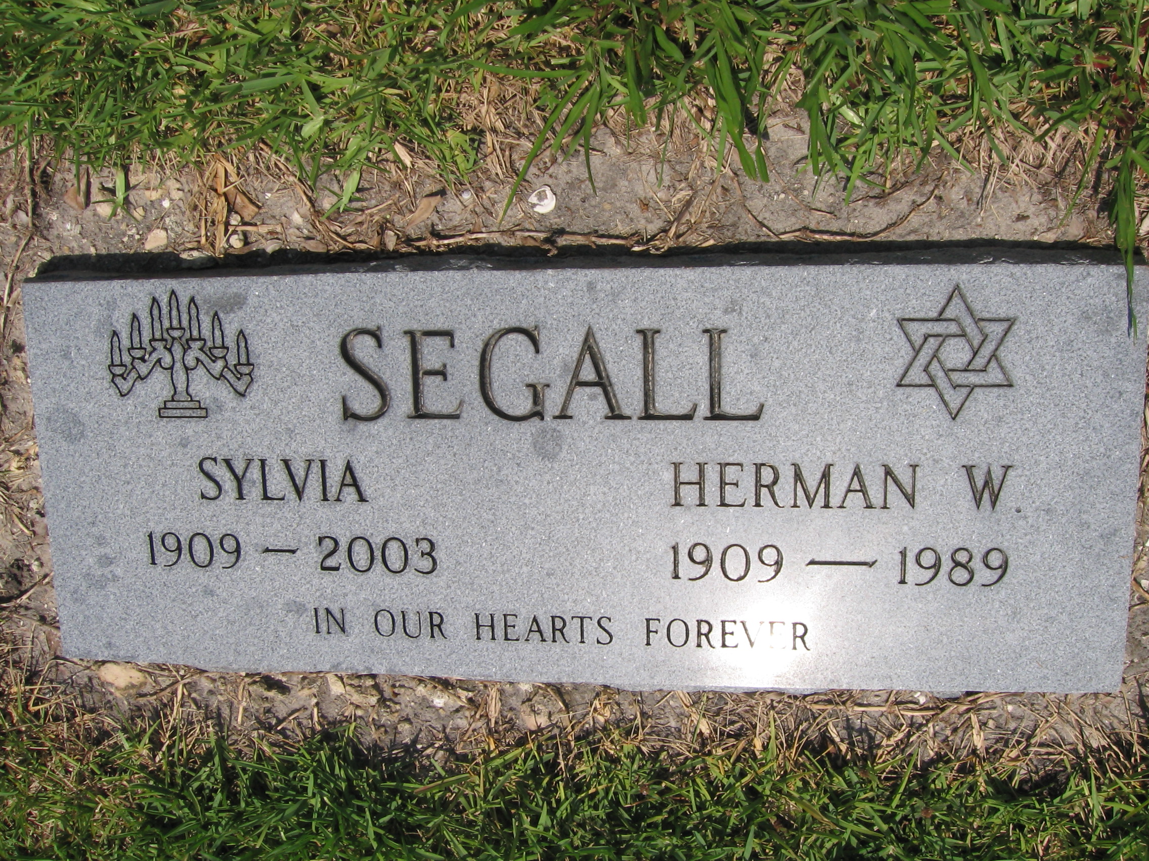 Herman W Segall
