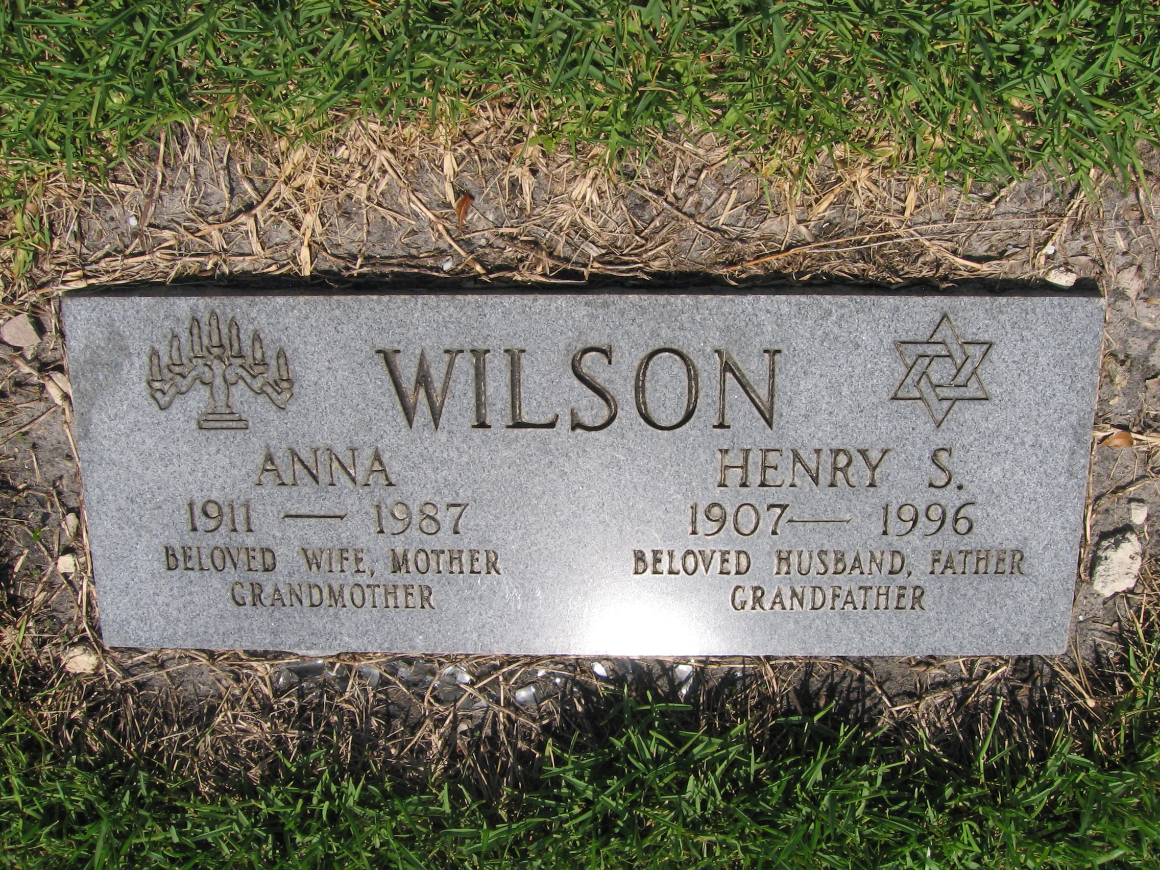 Henry S Wilson