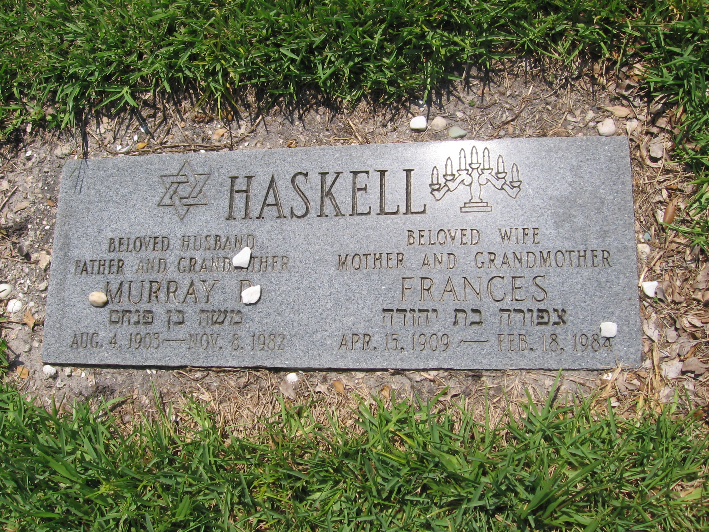 Murray D Haskell