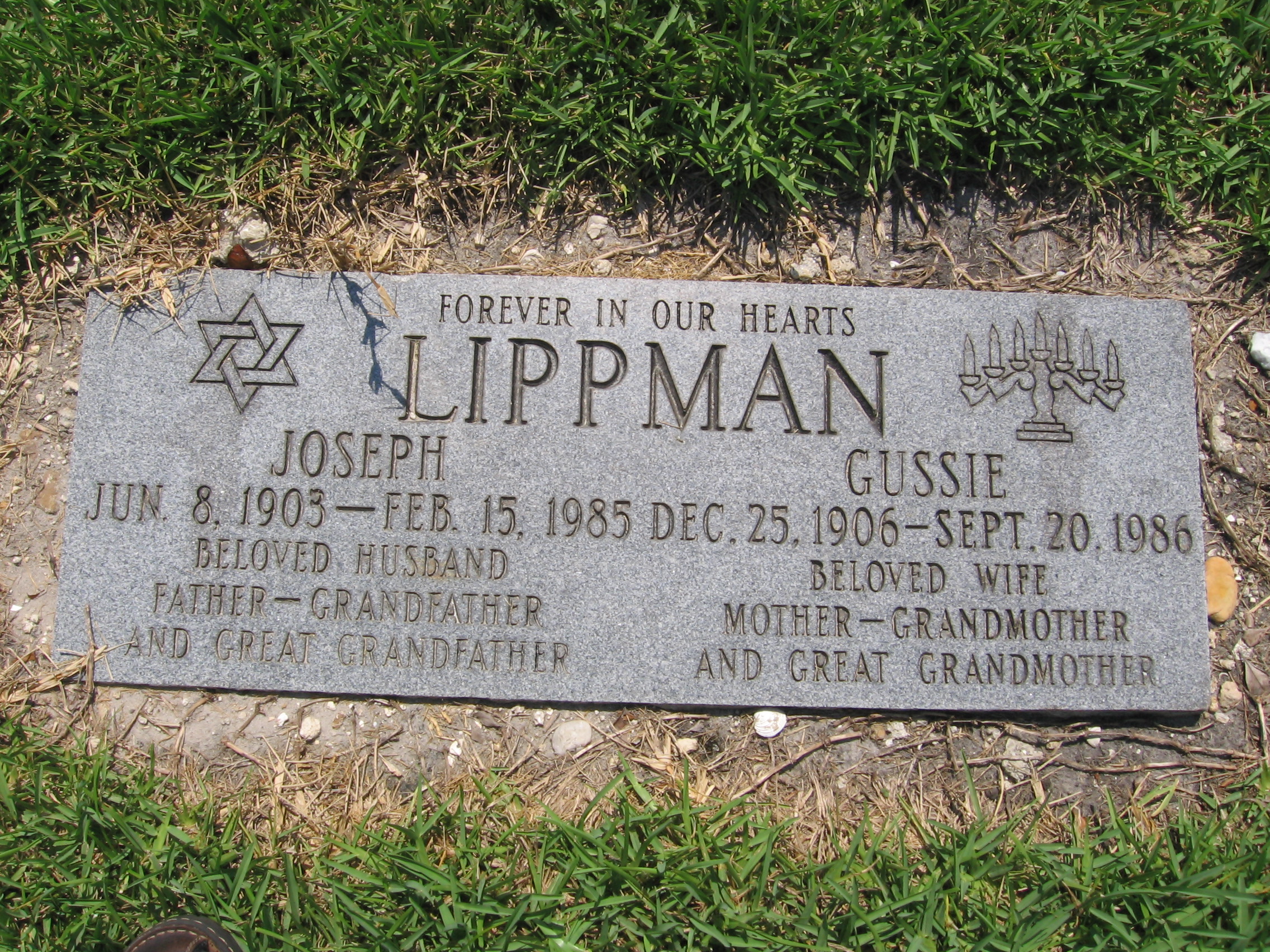 Joseph Lippman