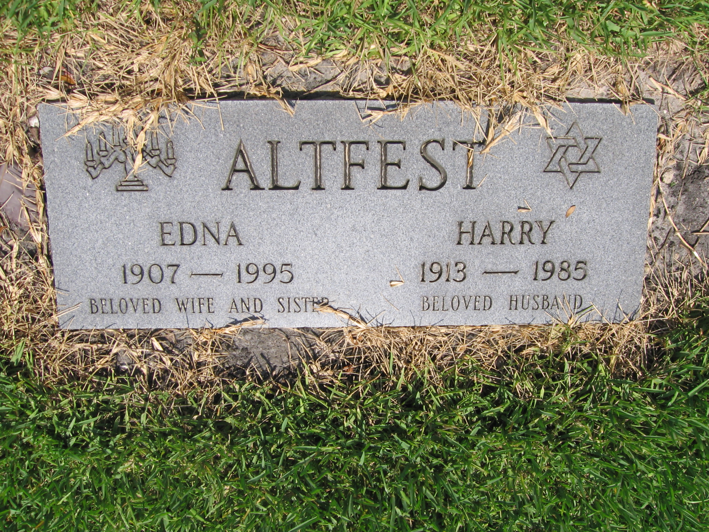 Harry Altfest
