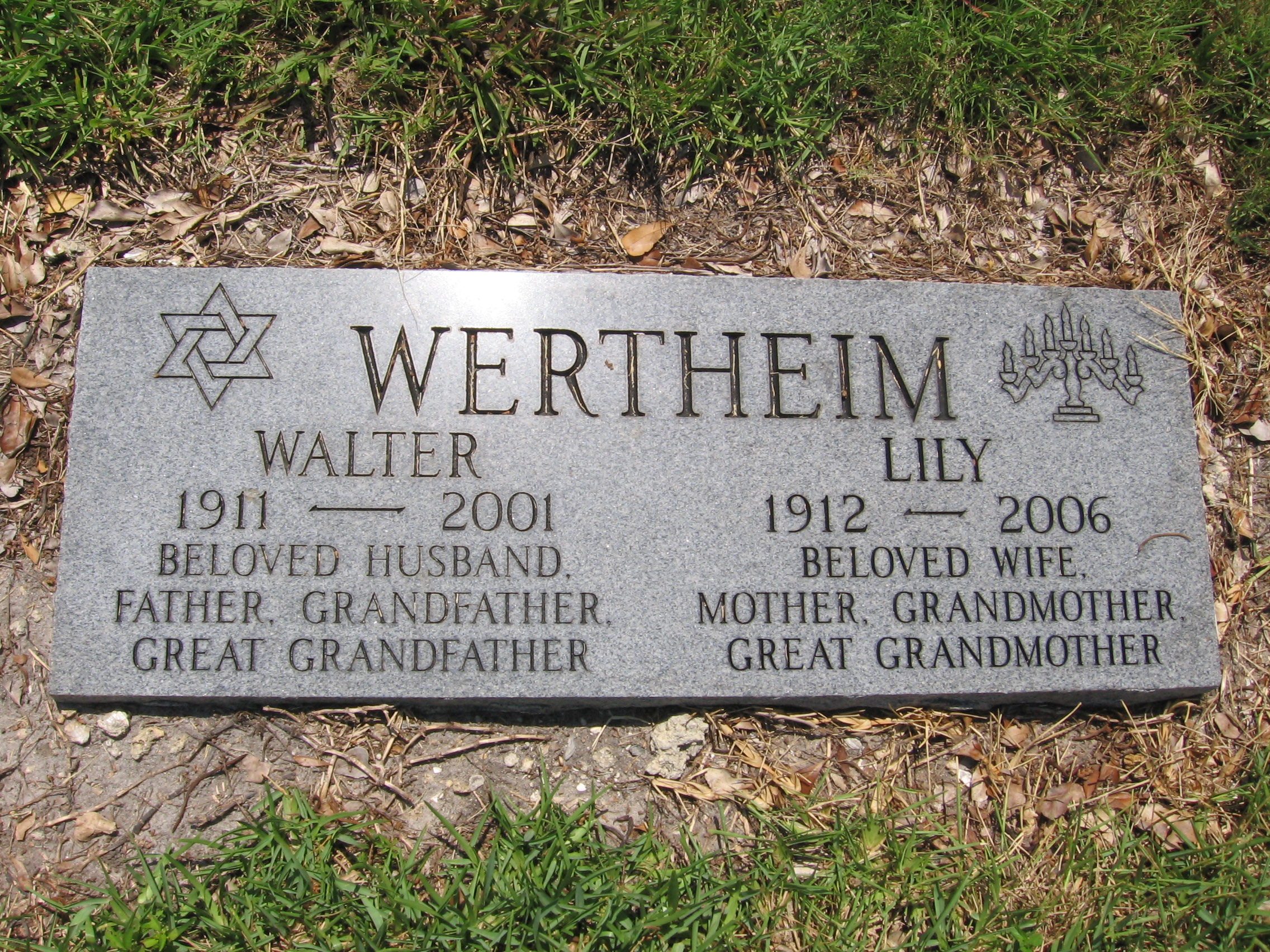 Lily Wertheim