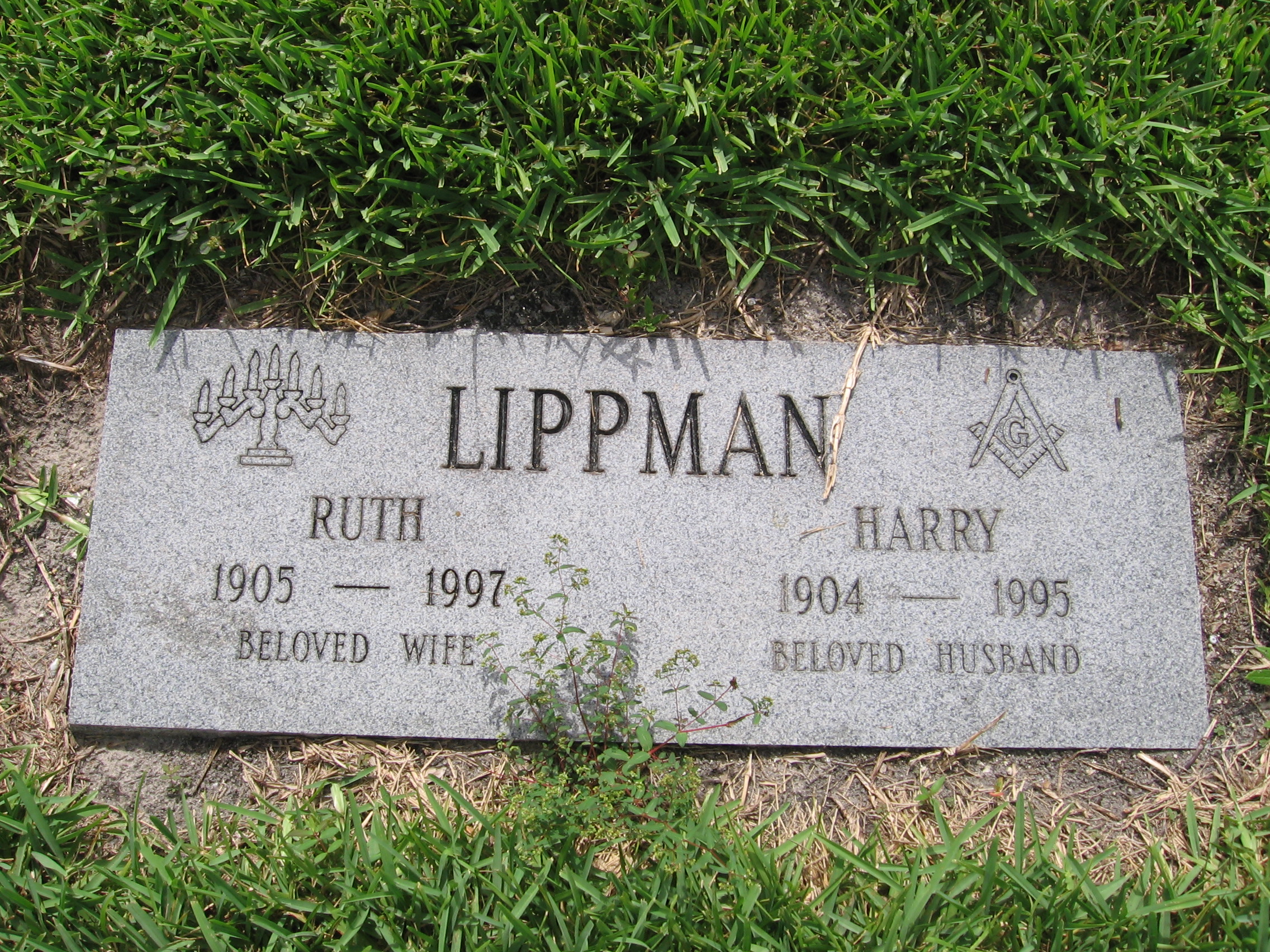 Harry Lippman
