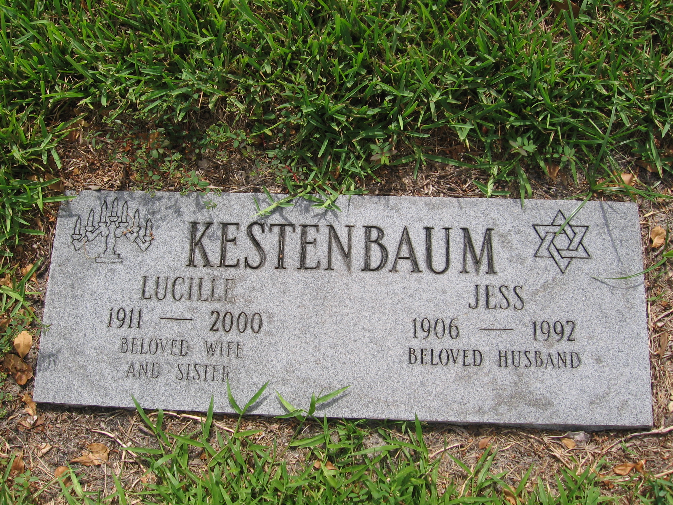 Jess Kestenbaum