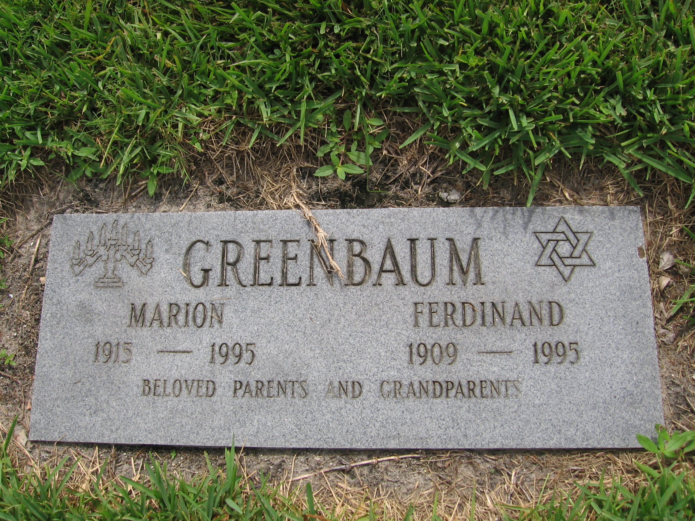 Marion Greenbaum
