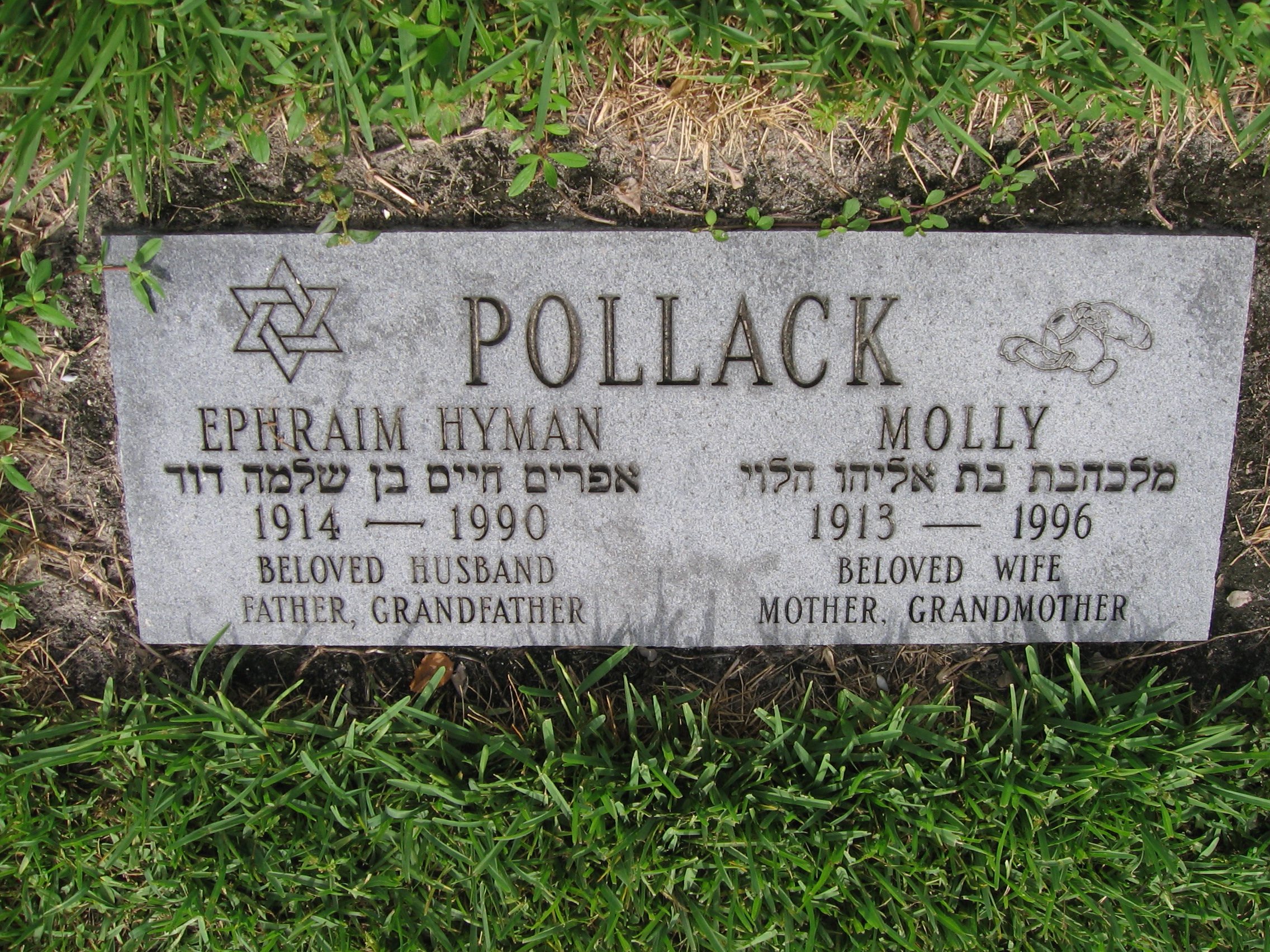 Molly Pollack