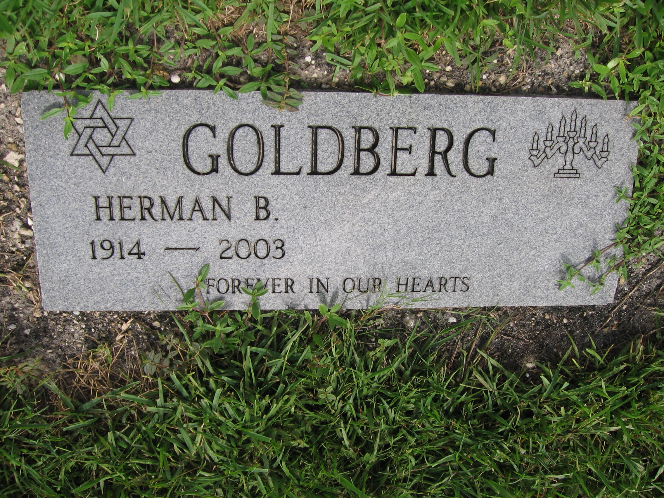 Herman B Goldberg