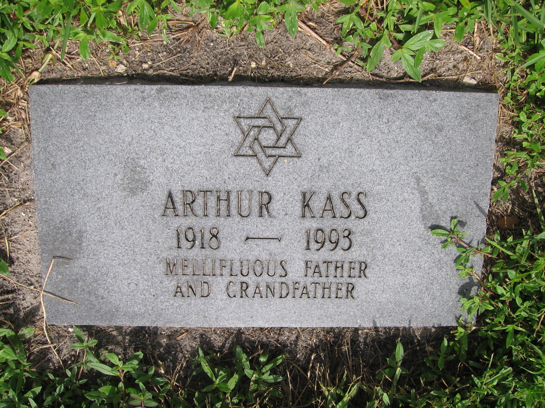 Arthur Kass