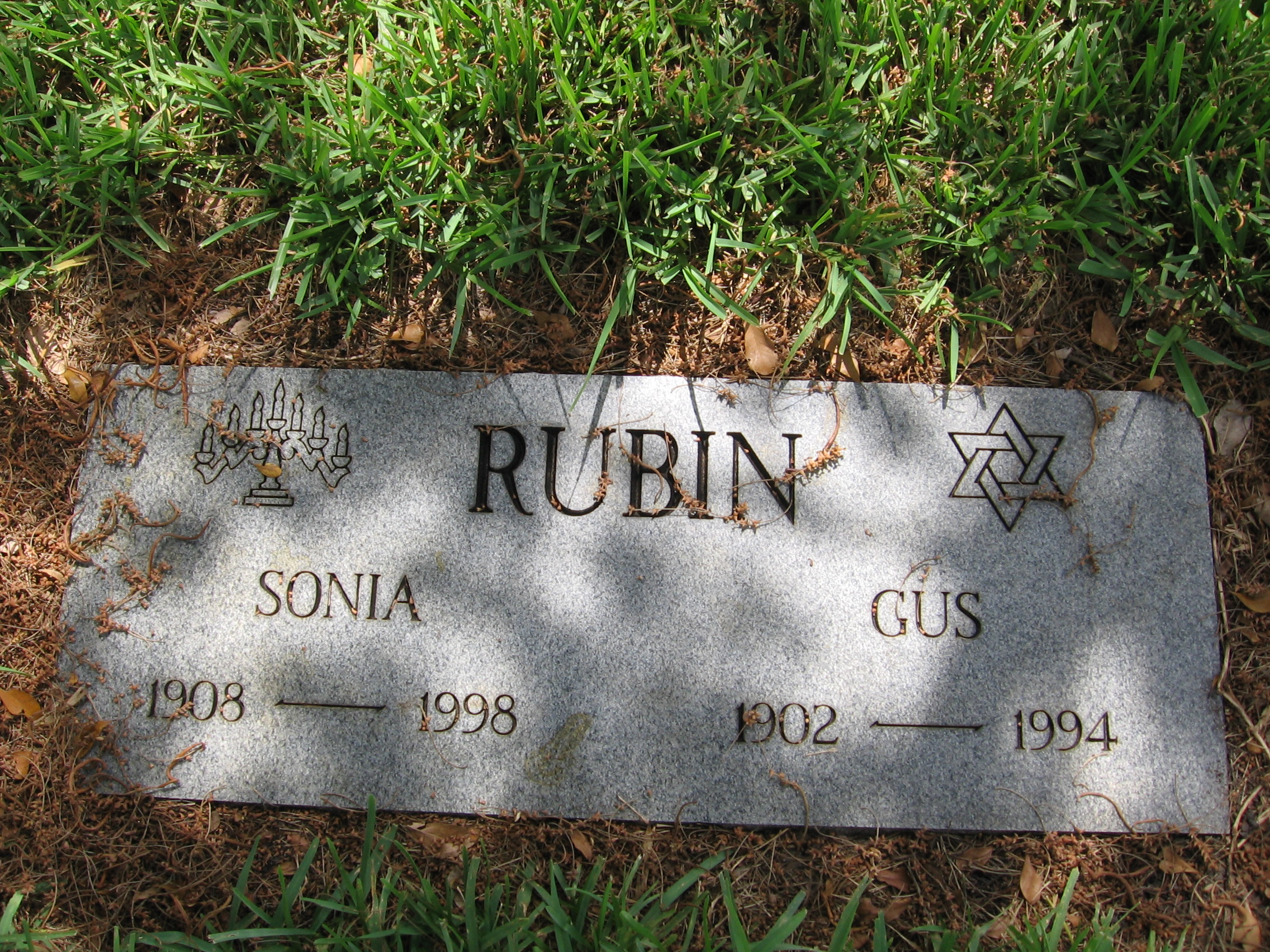 Gus Rubin