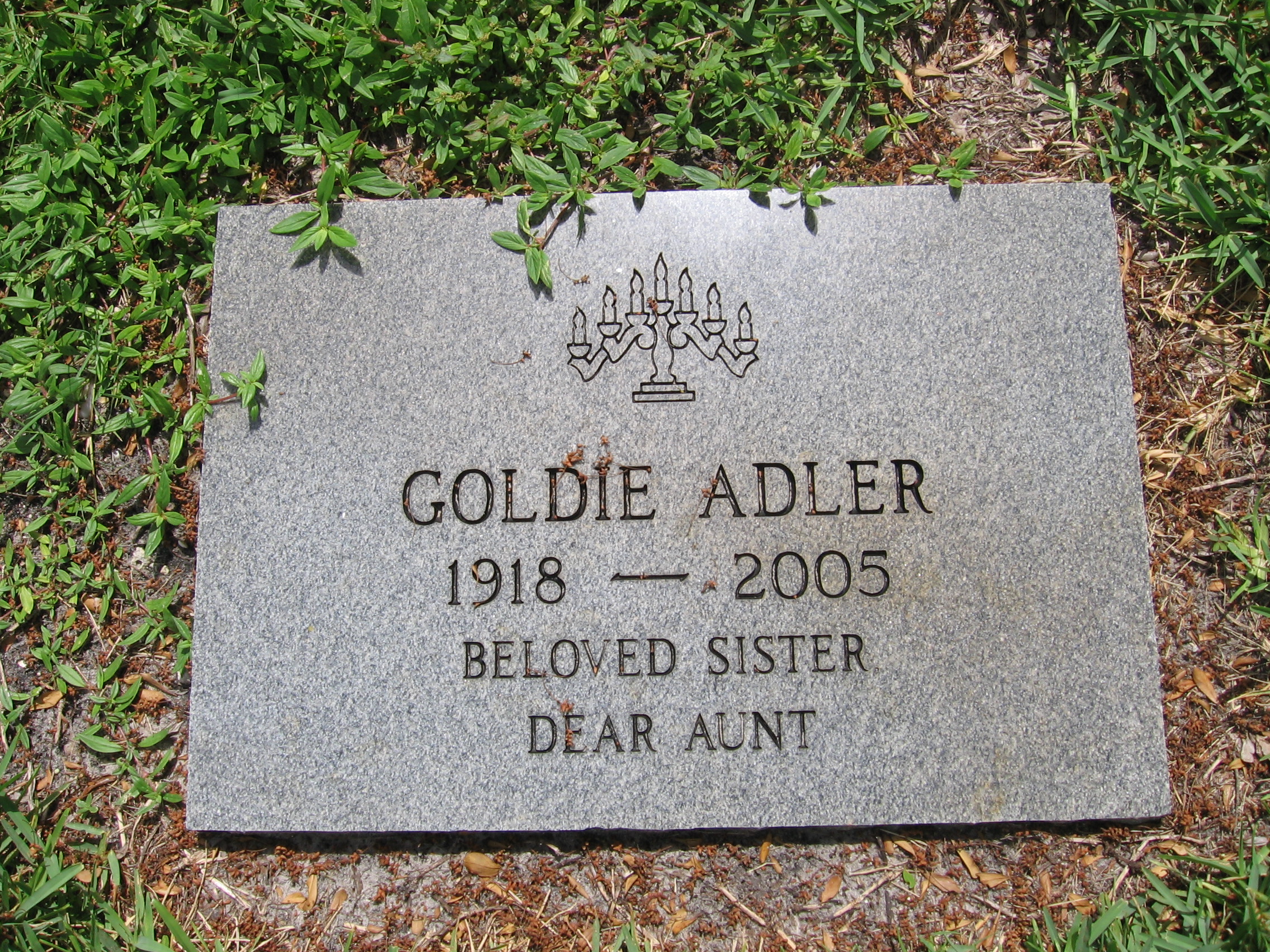 Goldie Adler