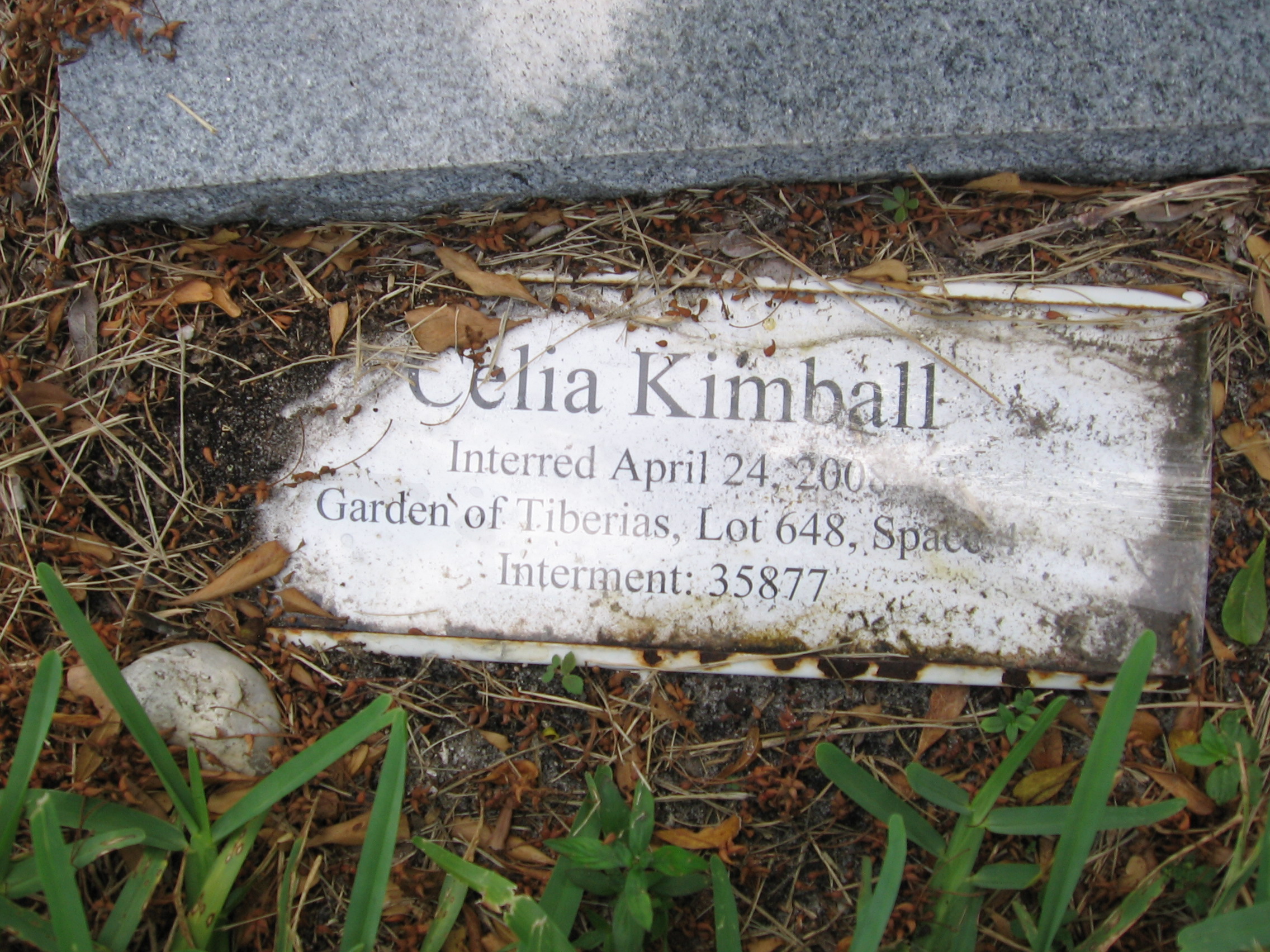 Celia Kimball