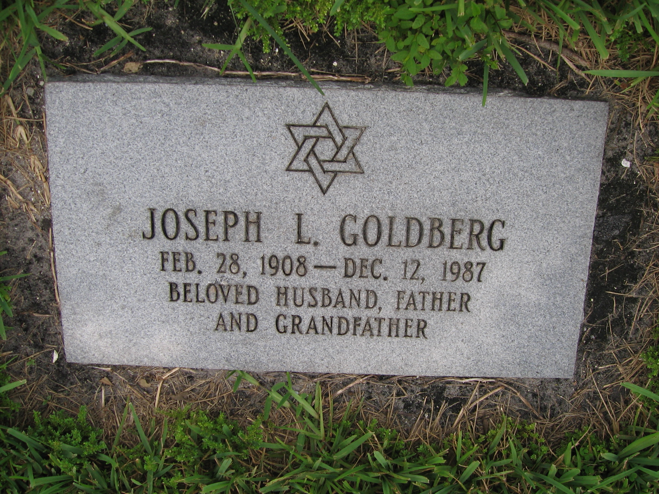 Joseph L Goldberg