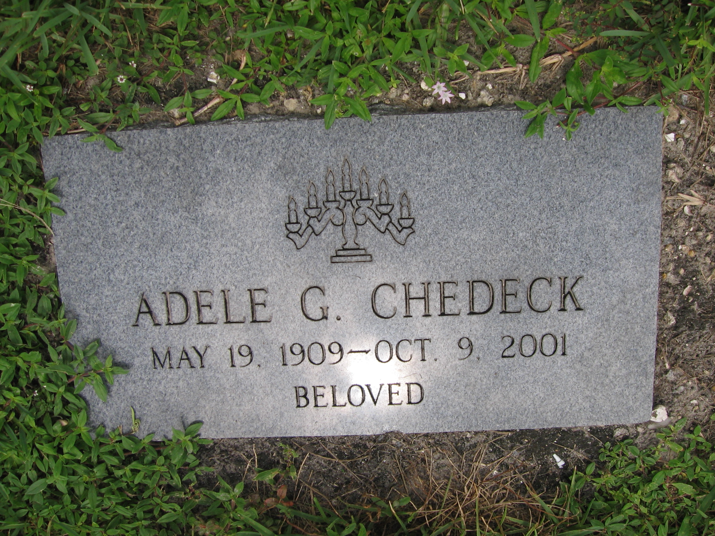Adele G Chedeck