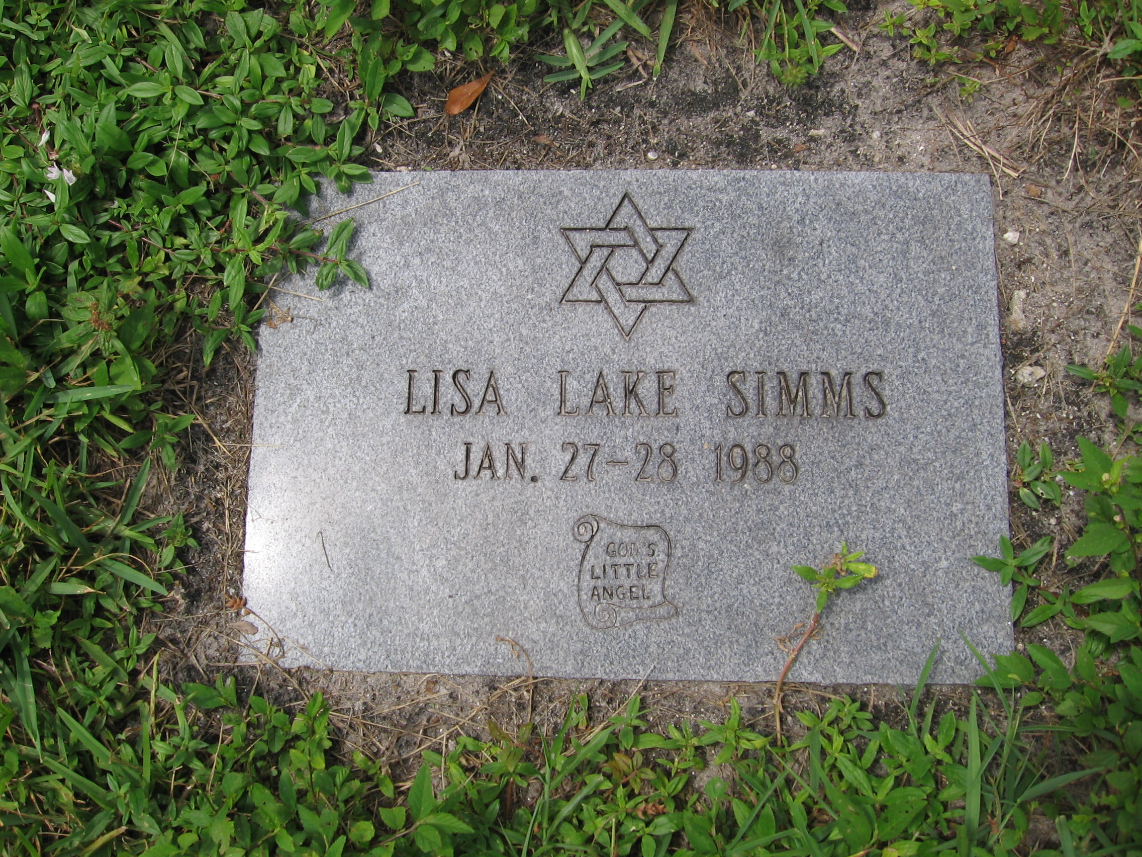Lisa Lake Simms