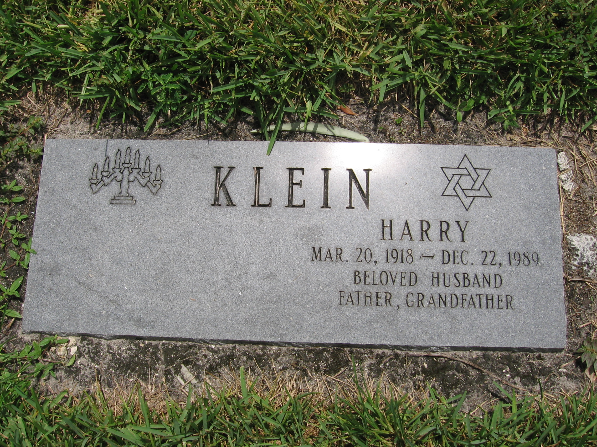 Harry Klein