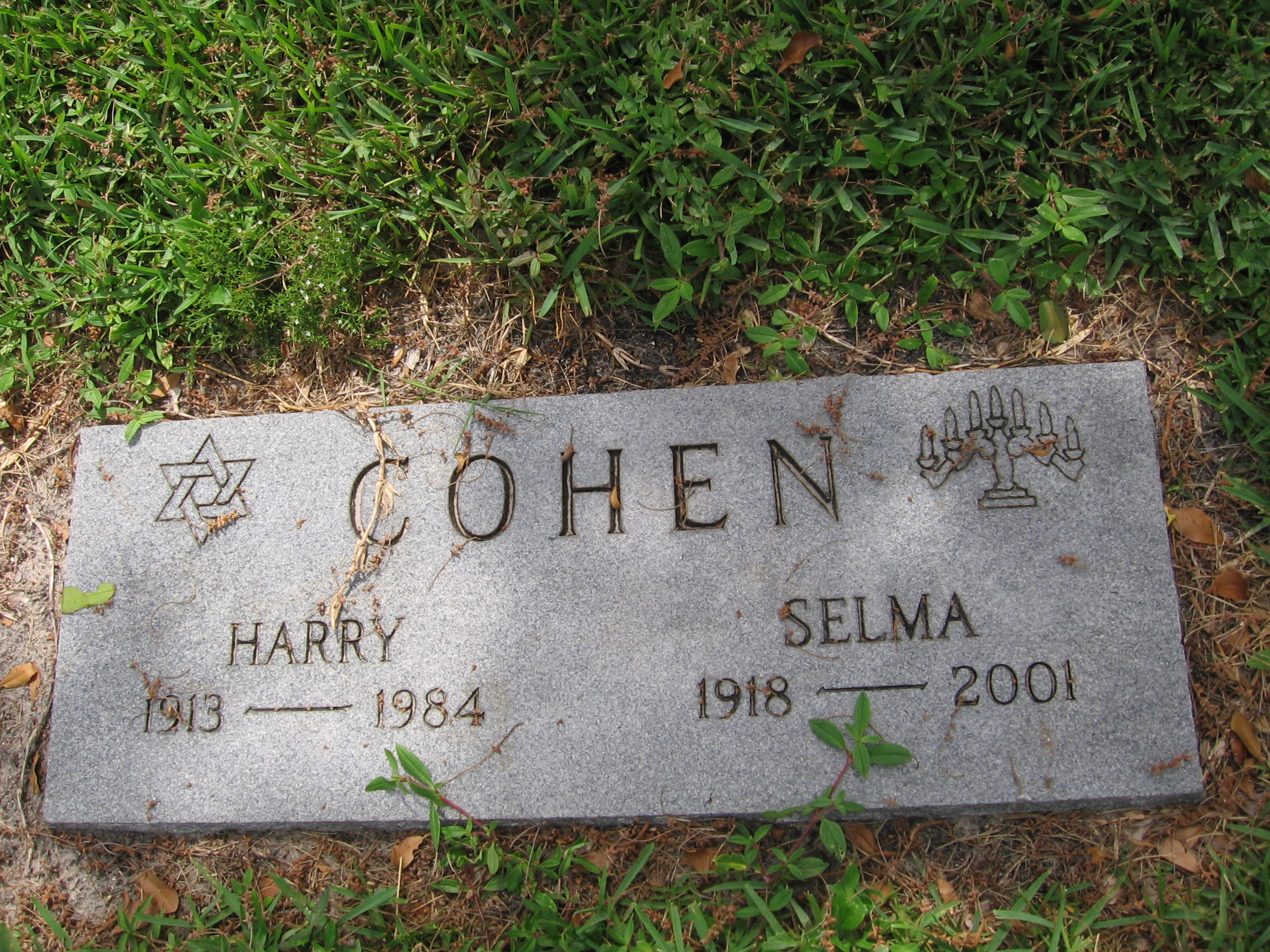 Harry Cohen