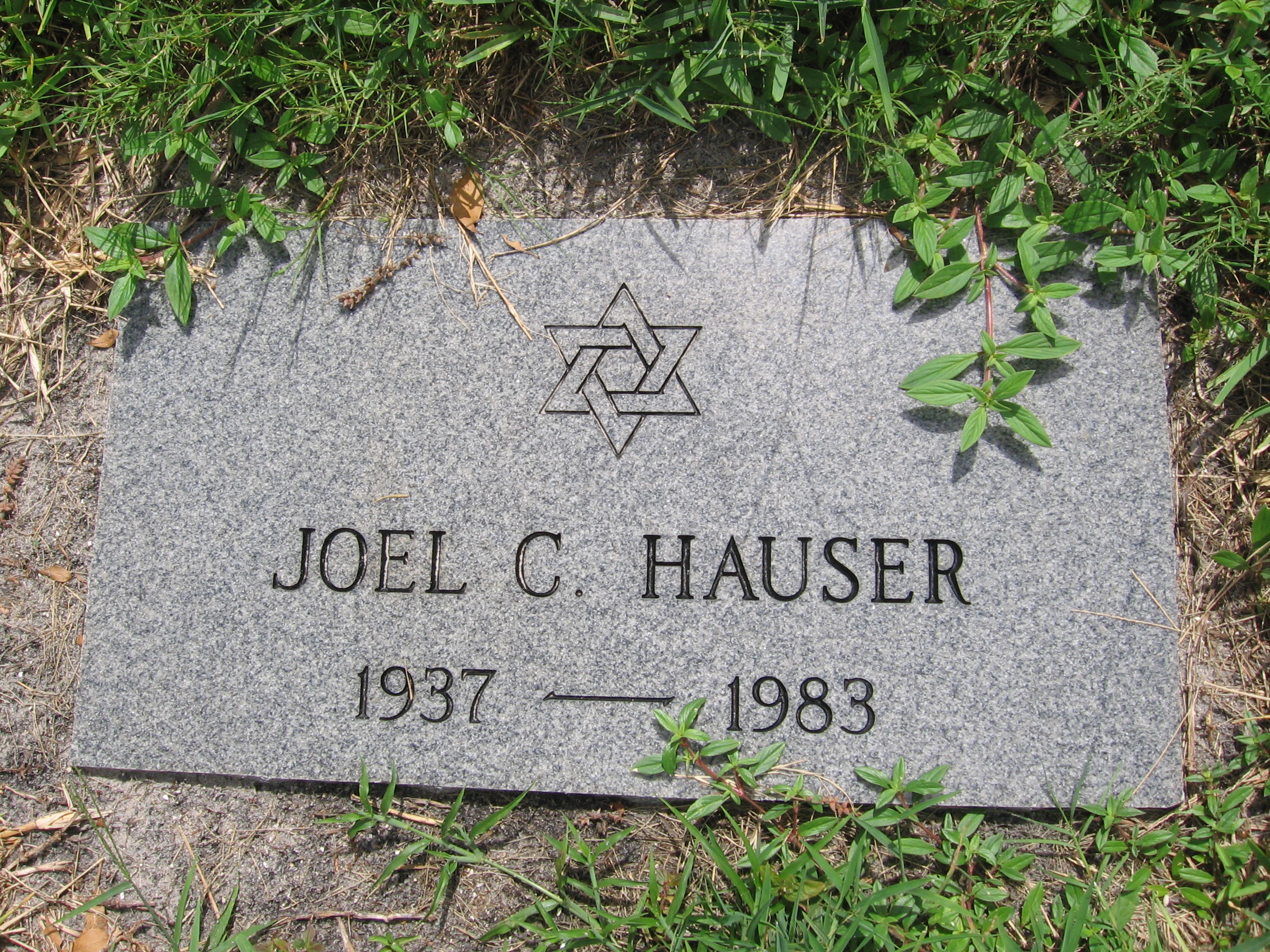 Joel C Hauser