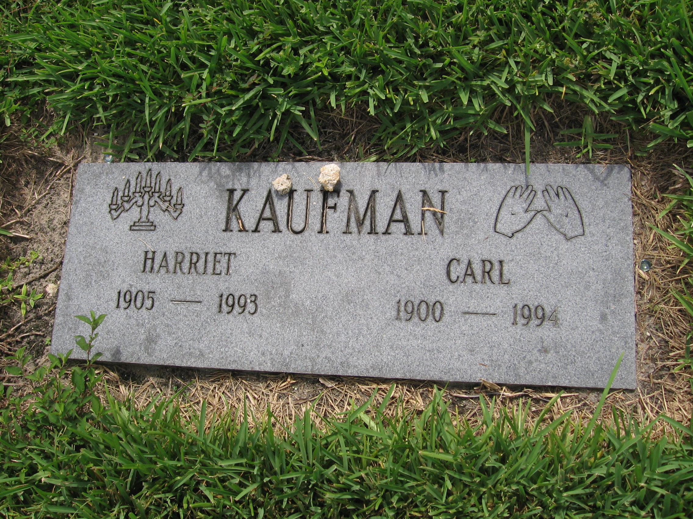 Harriet Kaufman