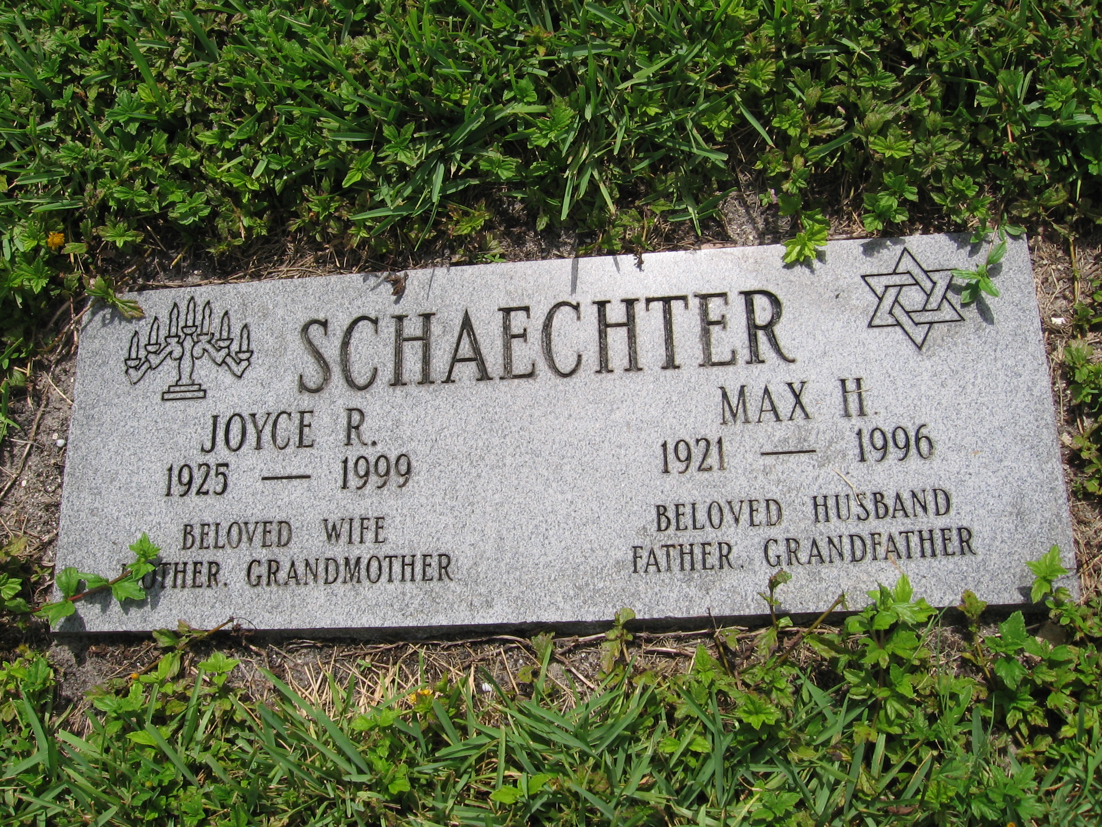 Joyce R Schaechter