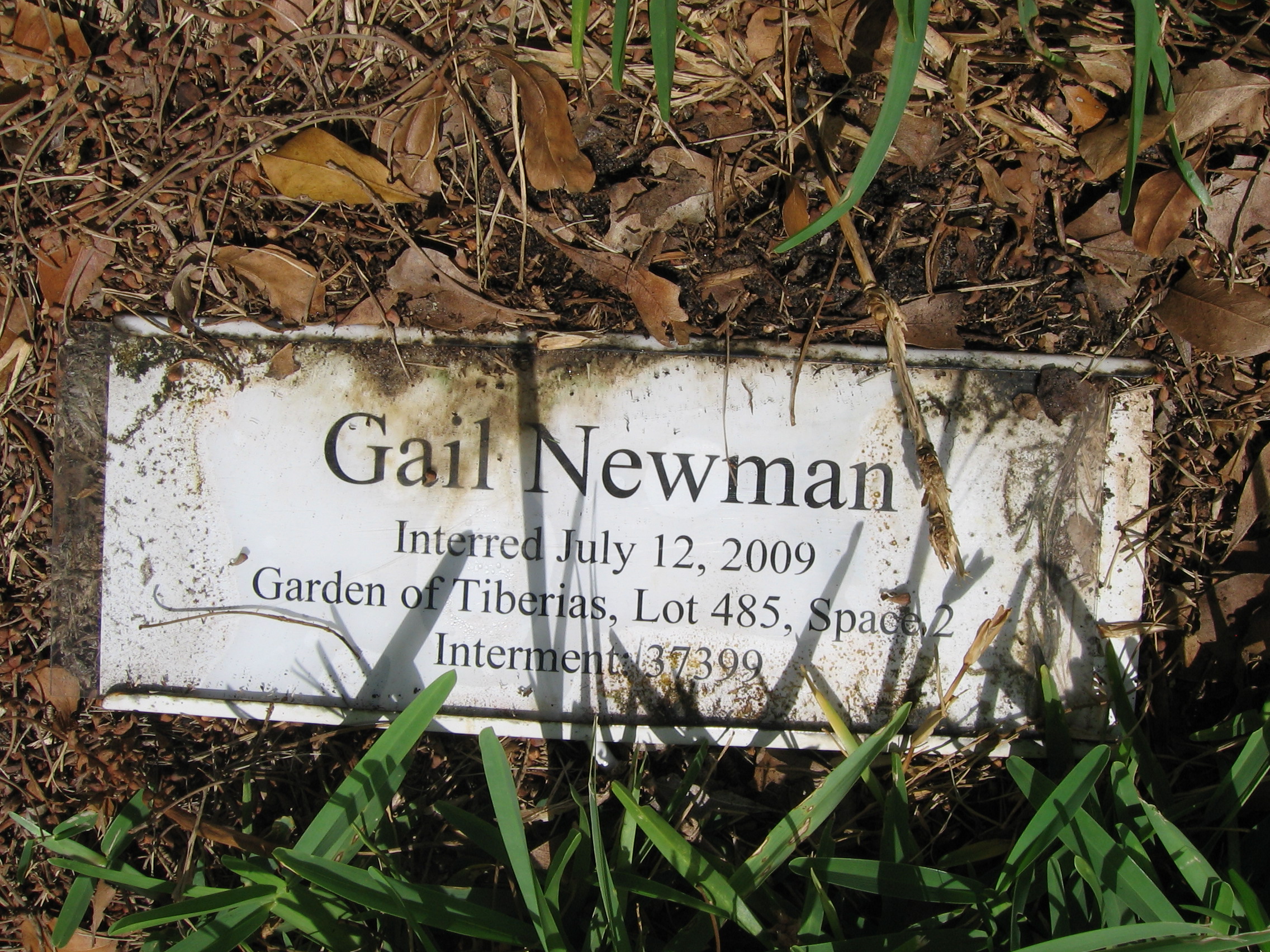 Gail Newman