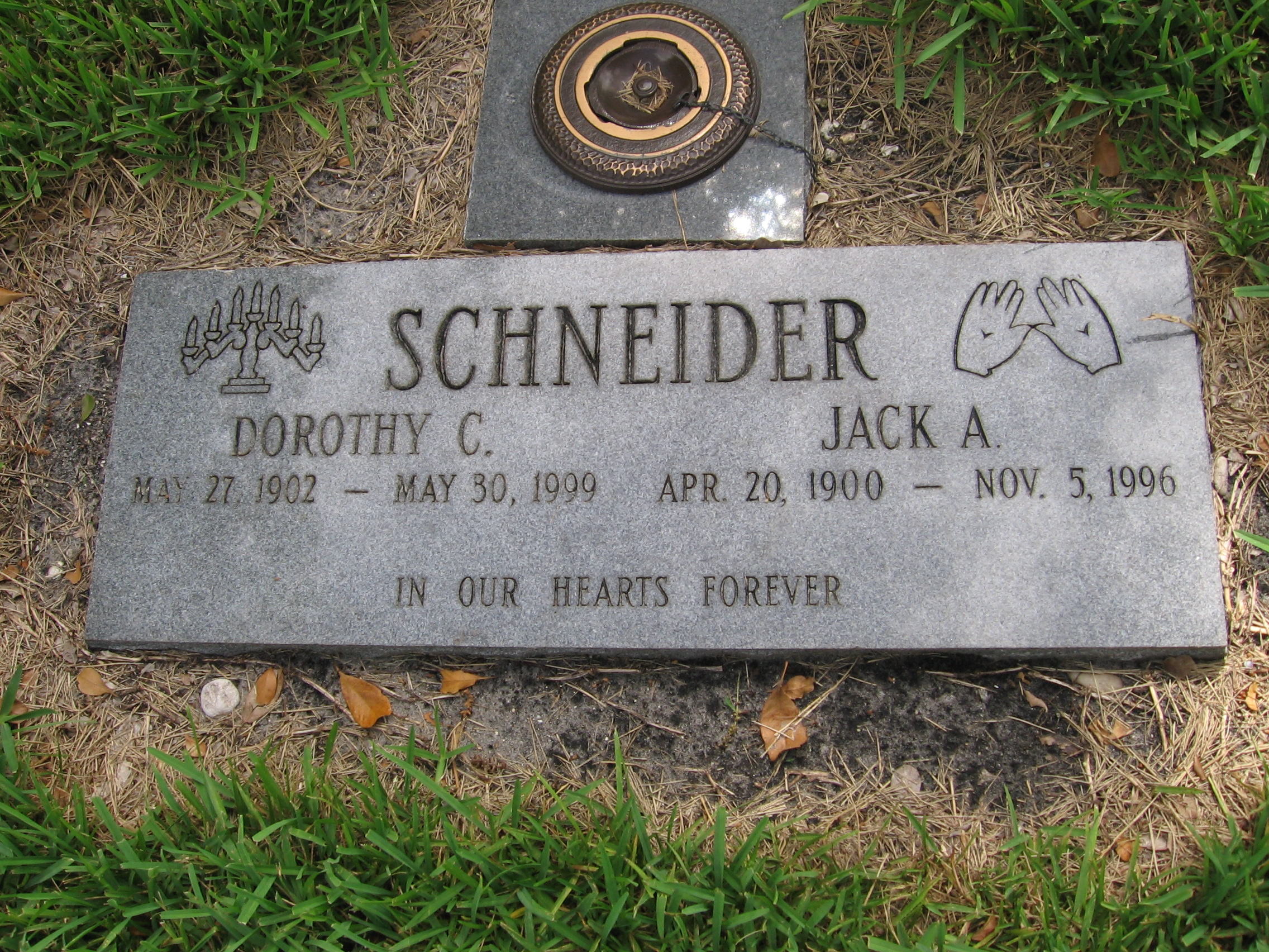 Dorothy C Schneider