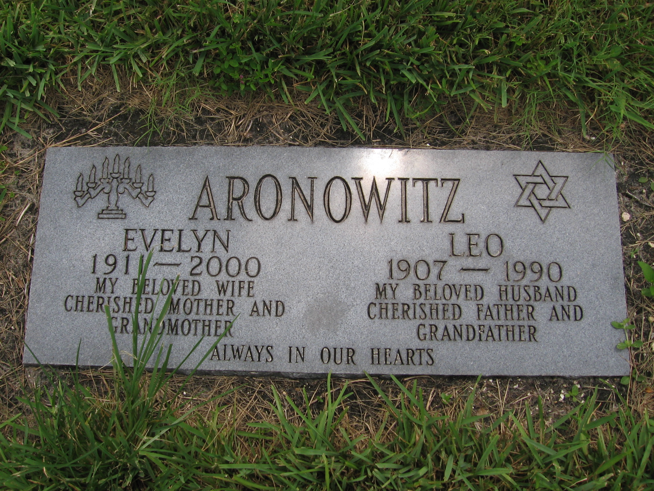 Leo Aronowitz