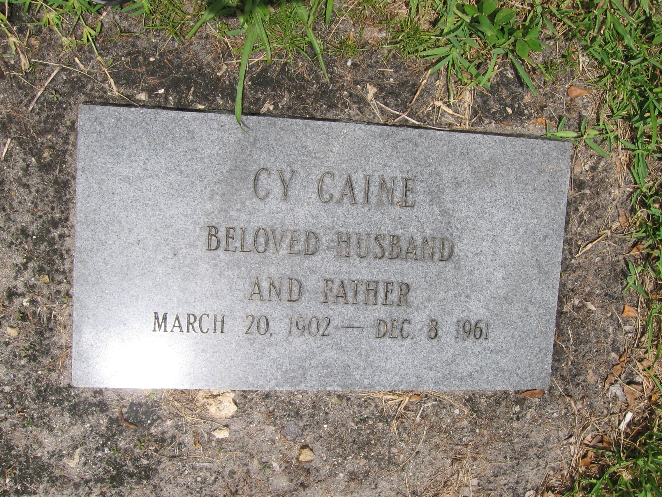 Cy Caine