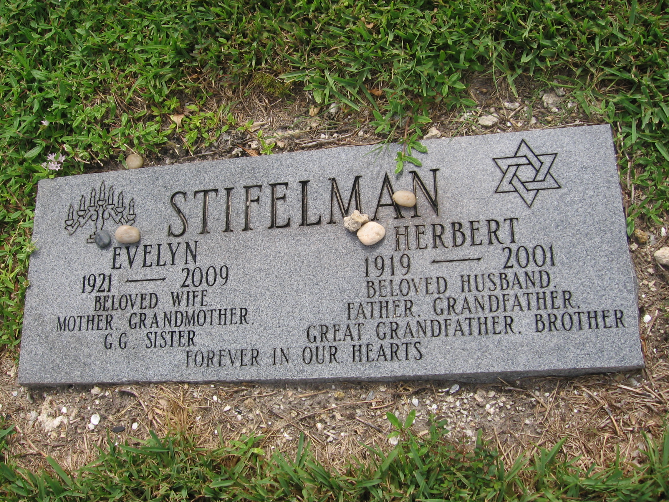Herbert Stifelman