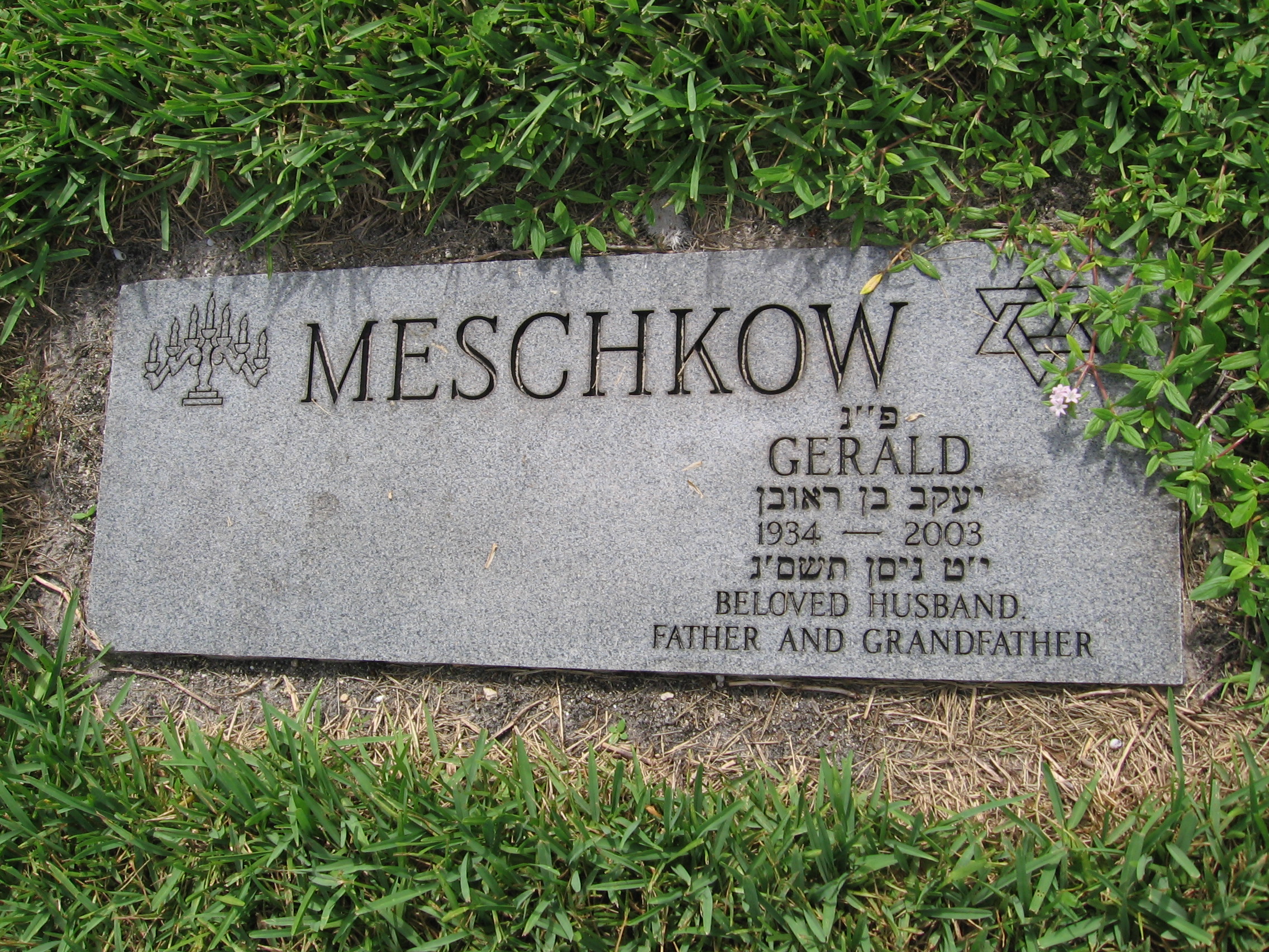 Gerald Meschkow