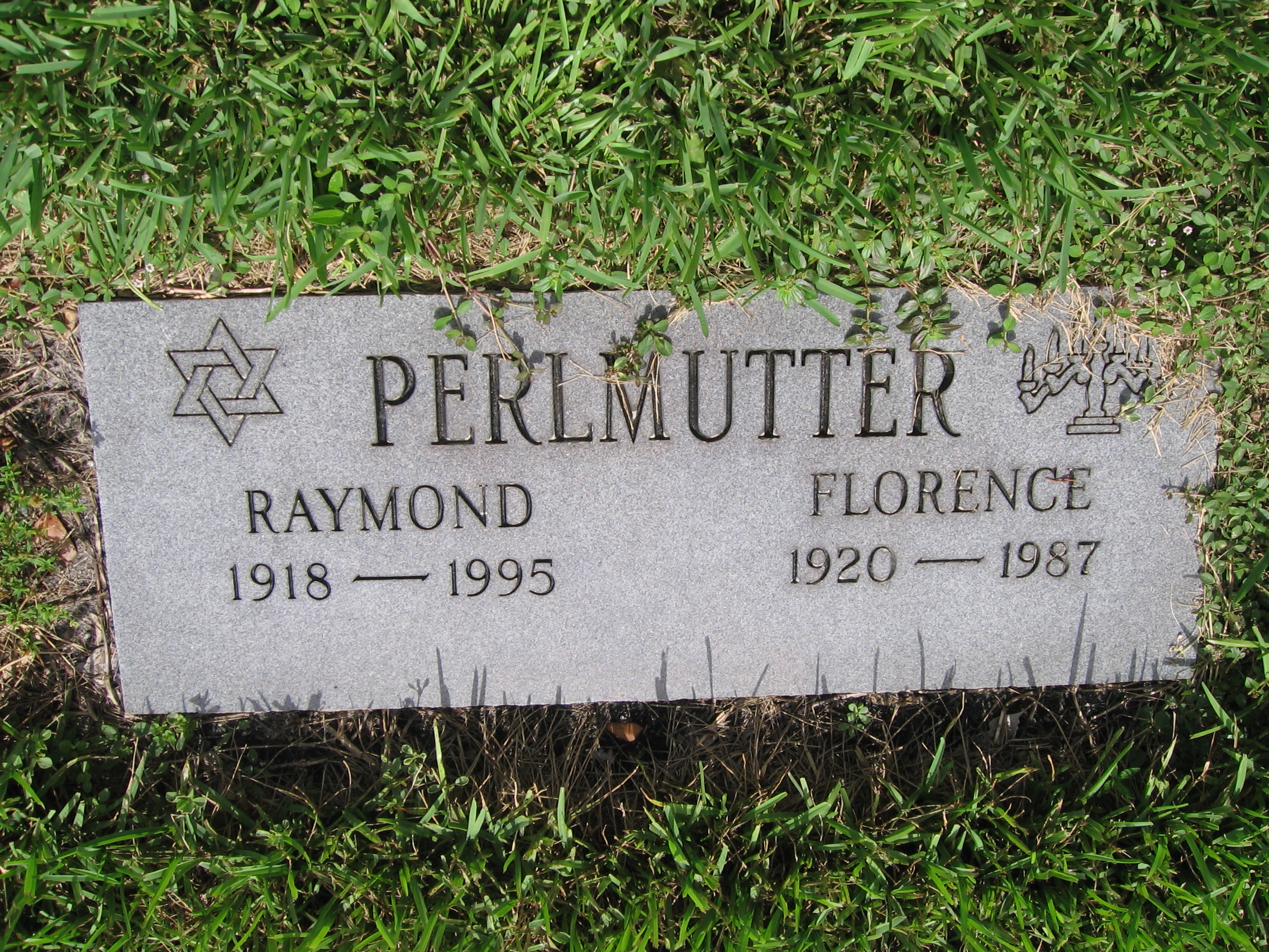 Raymond Perlmutter