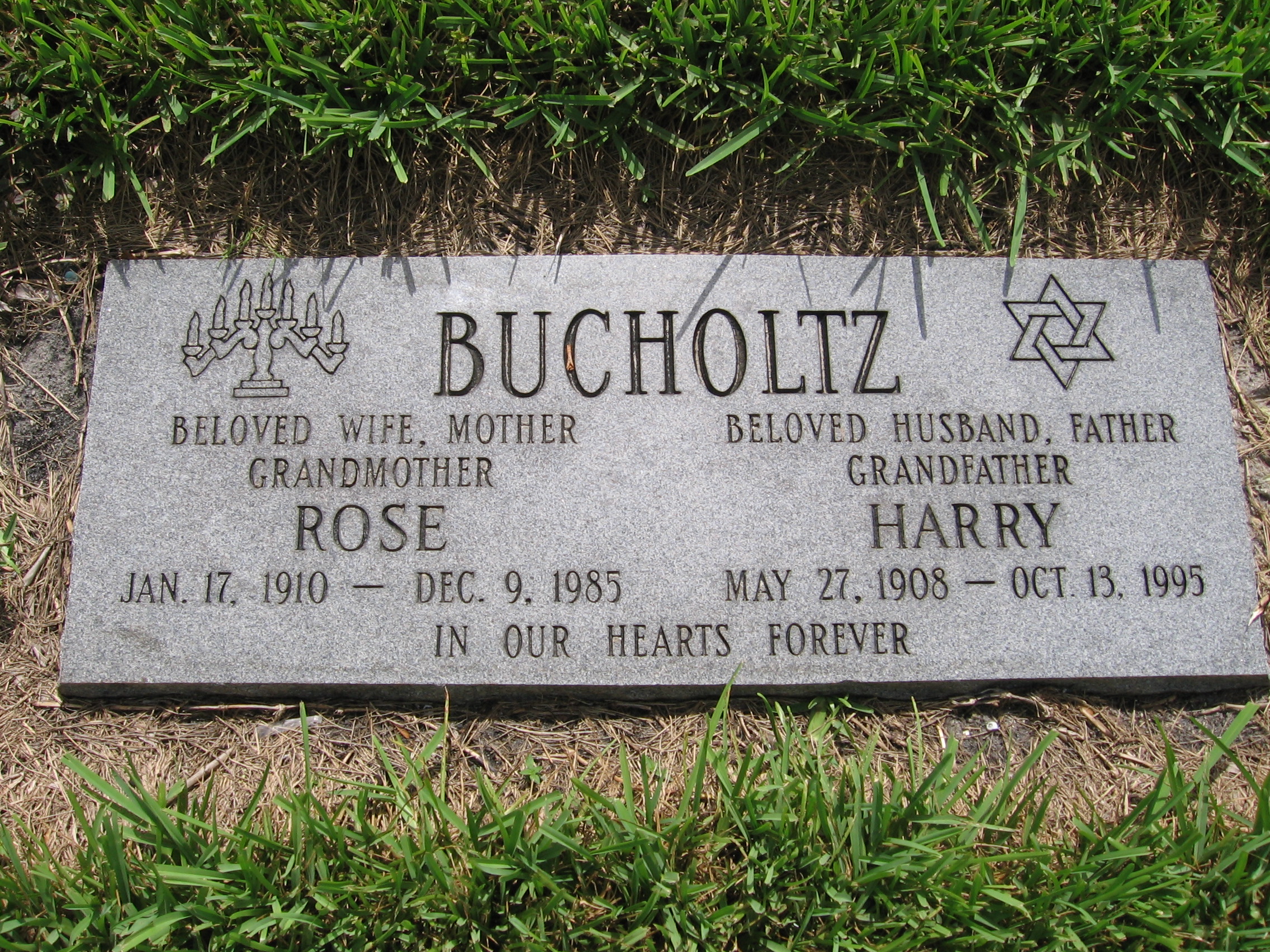 Rose Bucholtz