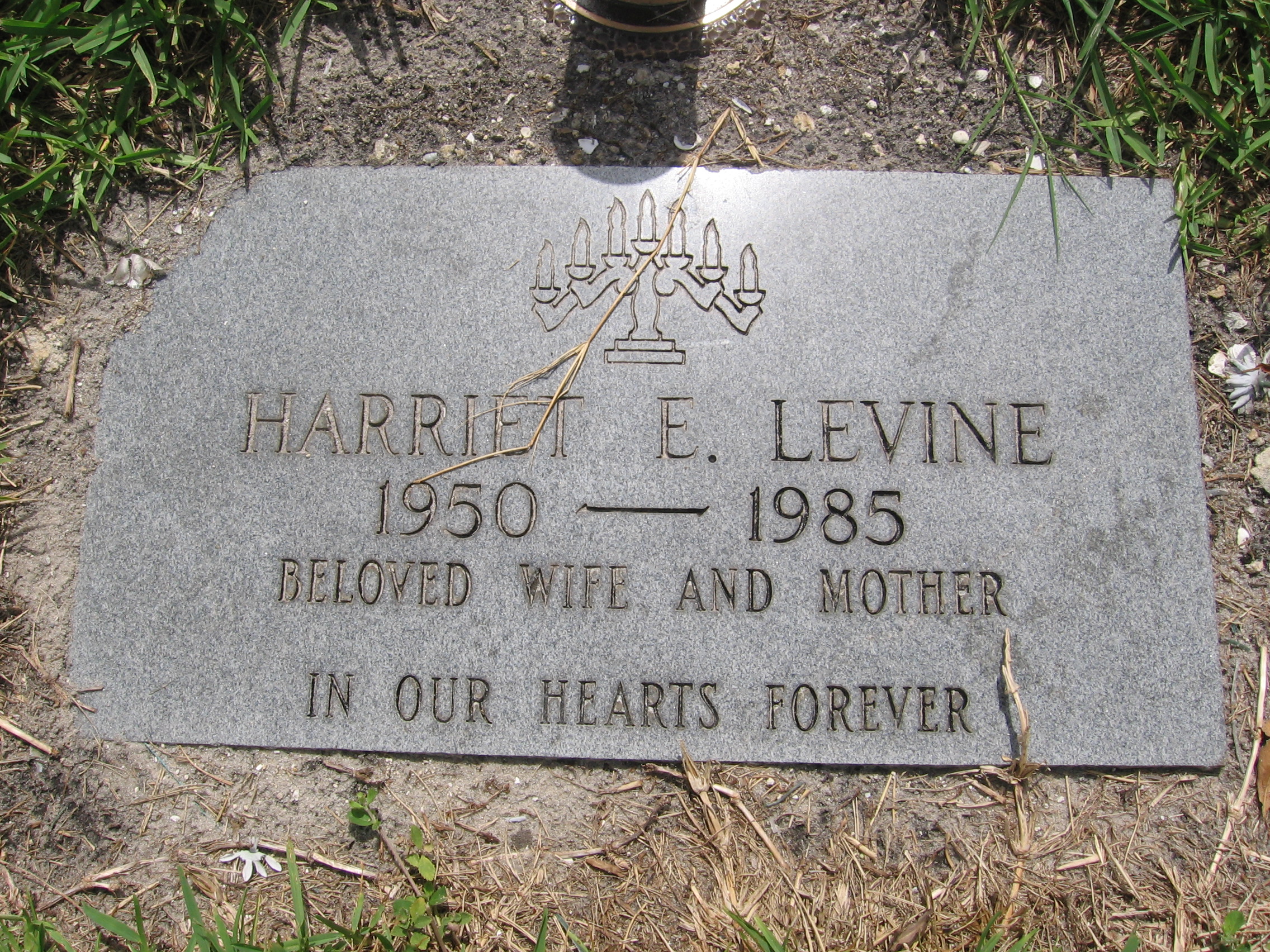 Harriet E Levine