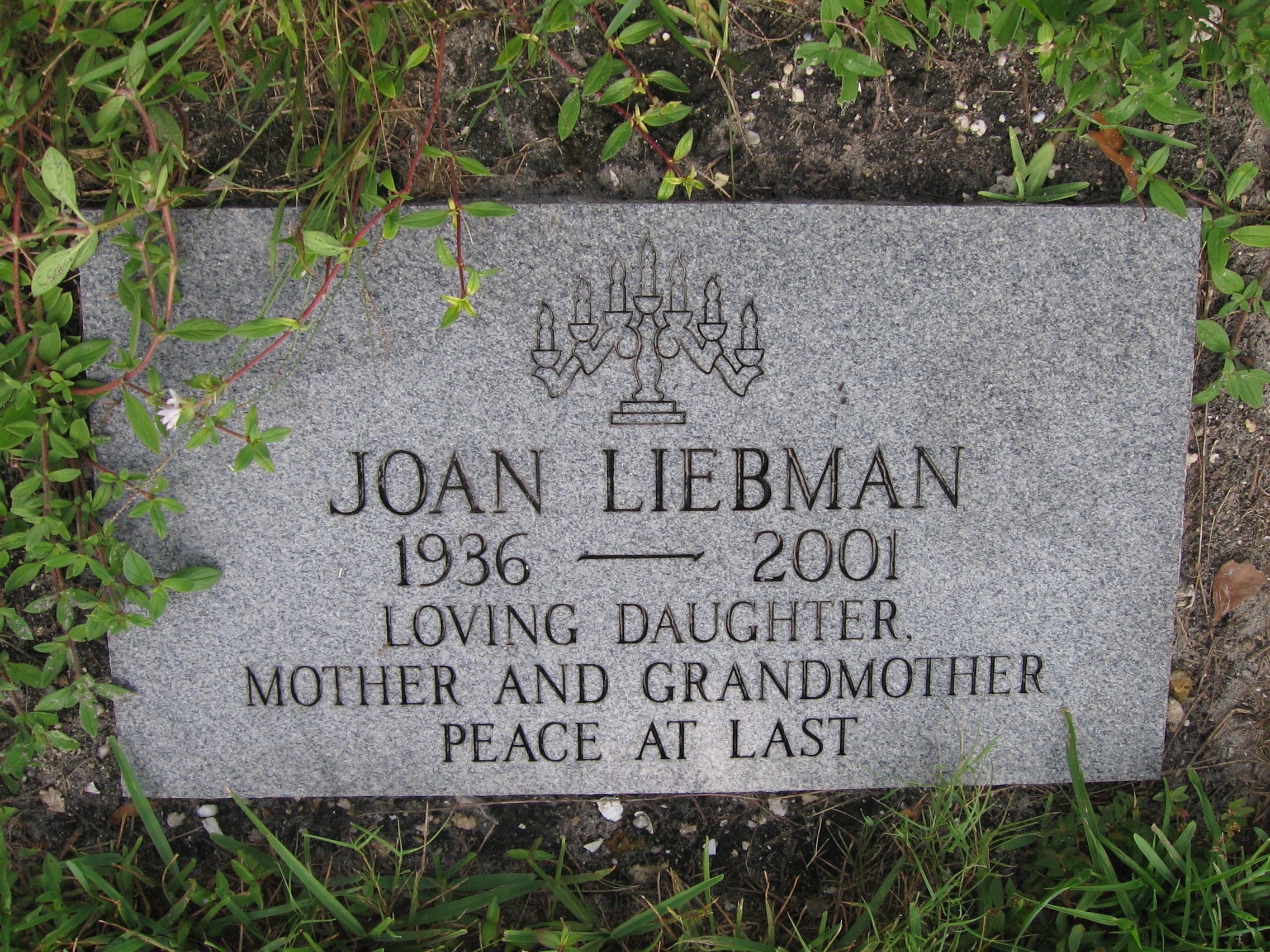 Joan Liebman