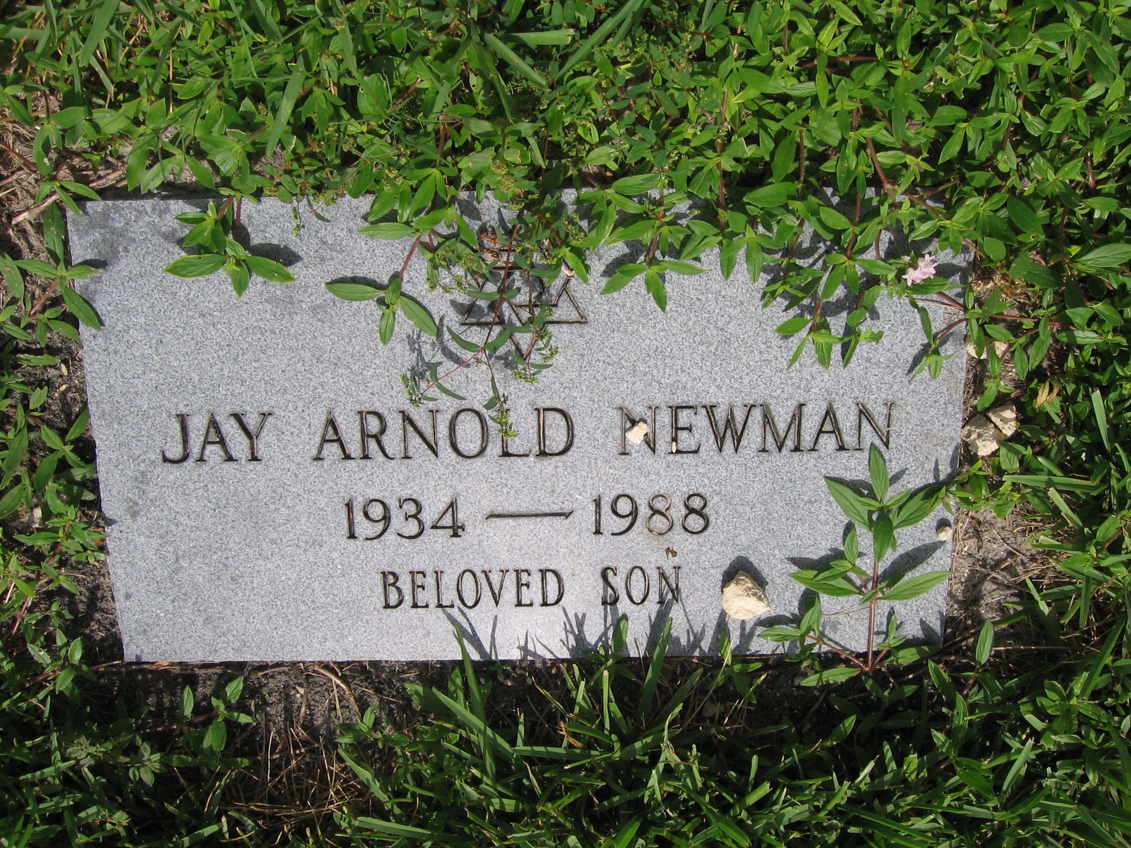 Jay Arnold Newman