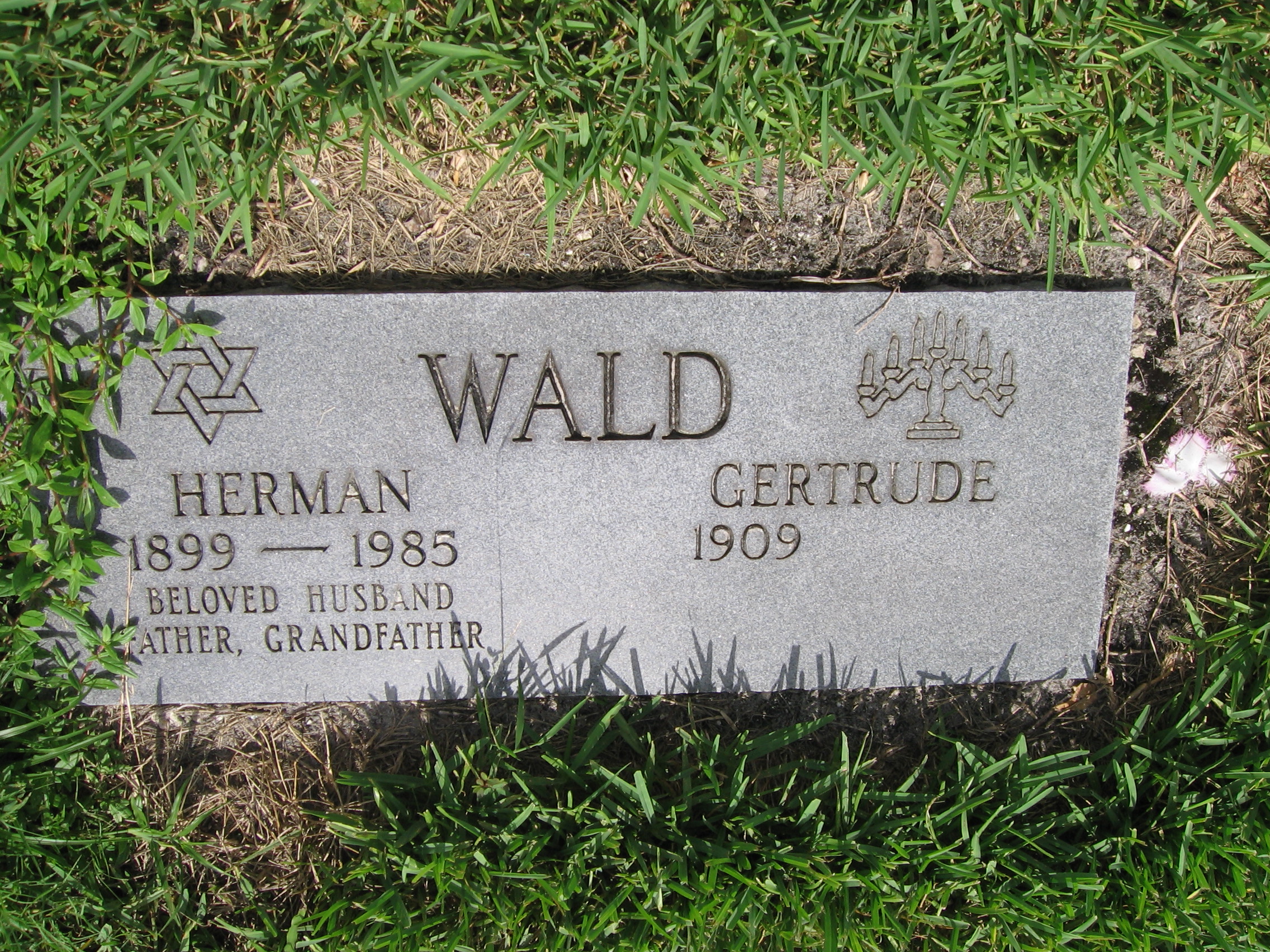 Herman Wald